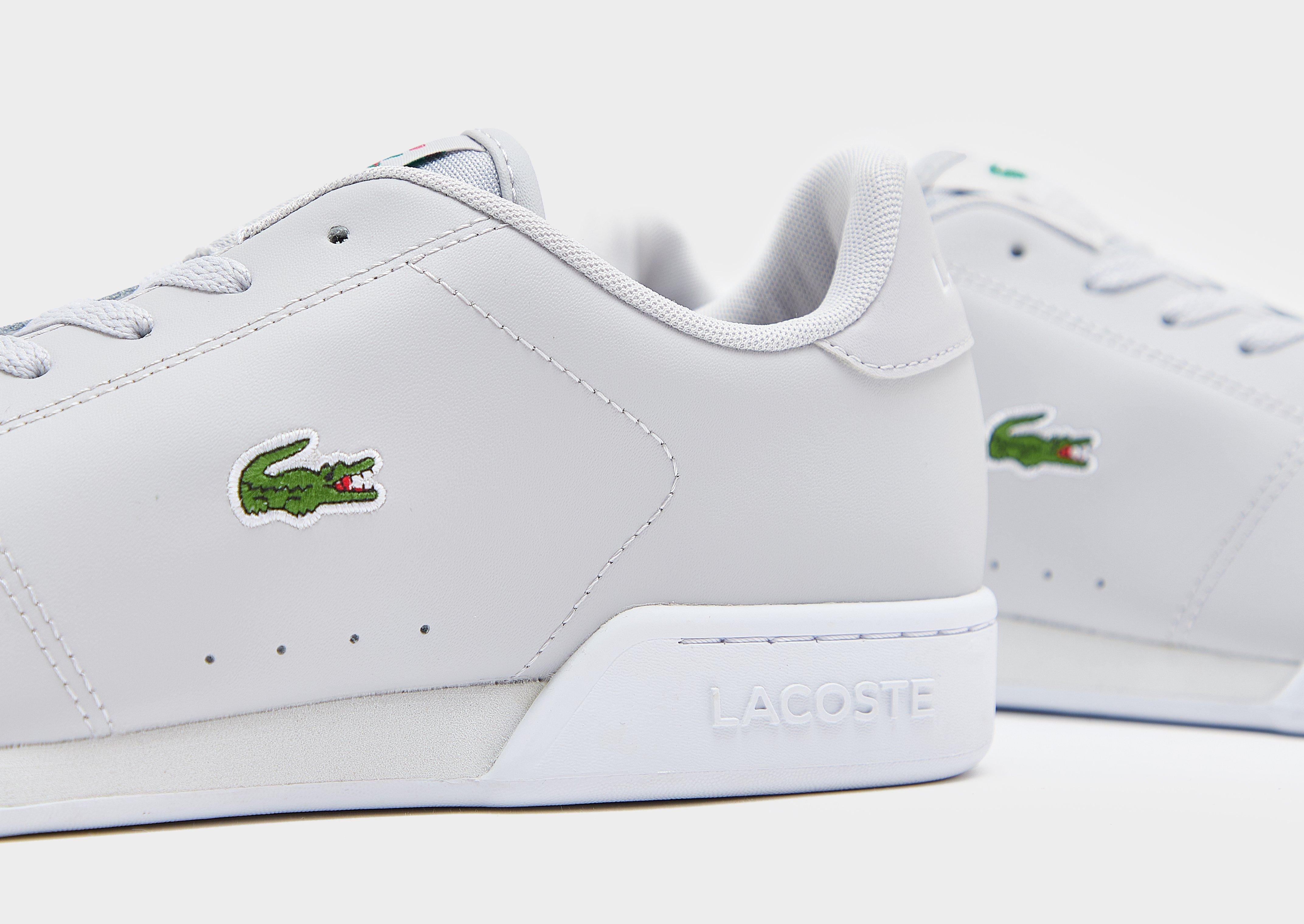 Lacoste Carnaby Cup