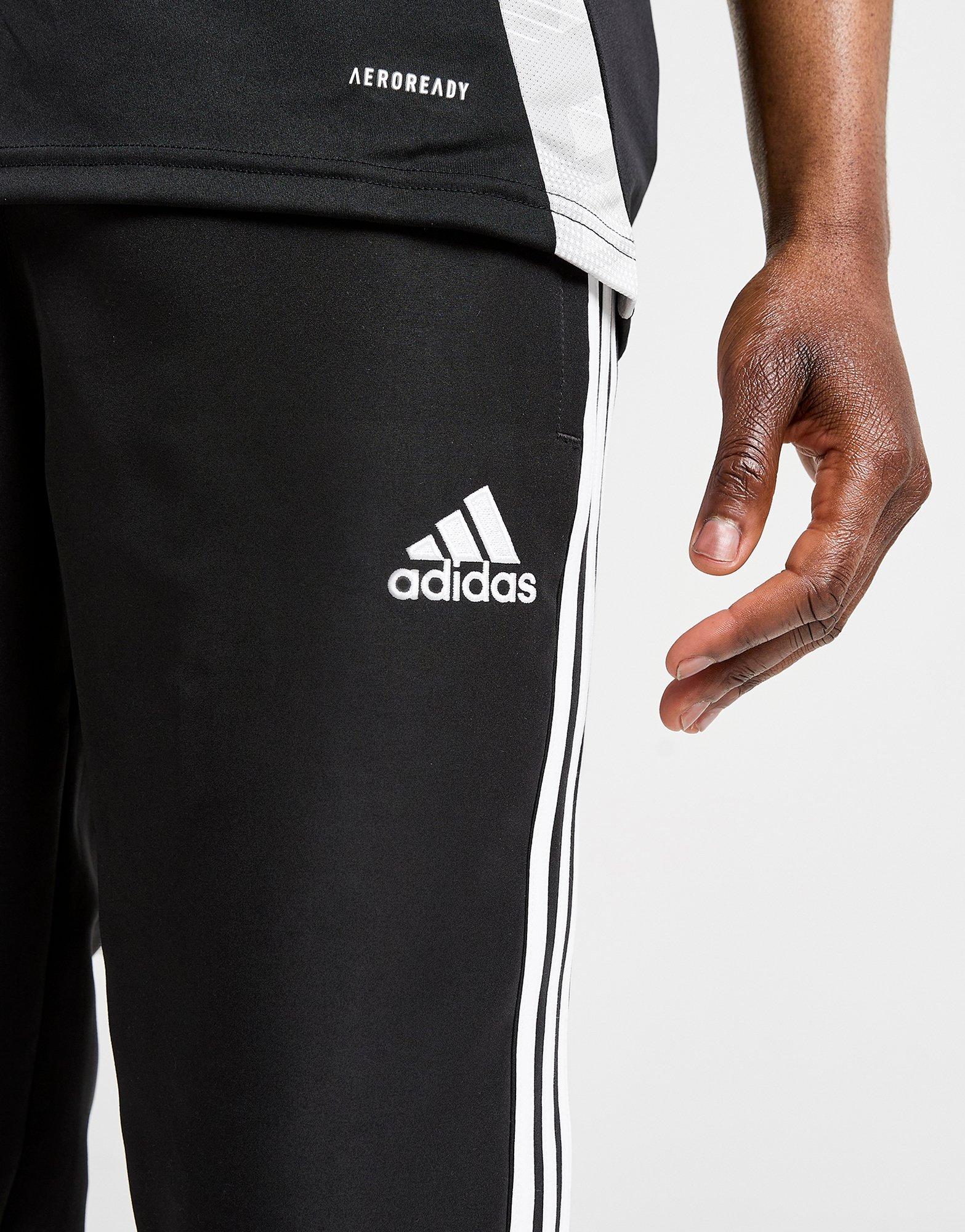 adidas Newcatle United FC Urban Purist Track Pants