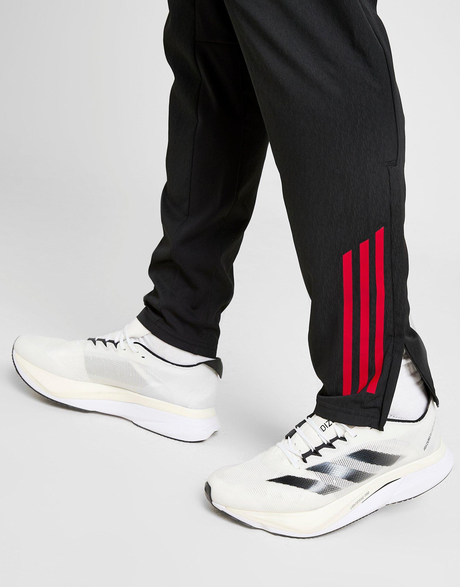 adidas AFC Ajax Pre Match Track Pants