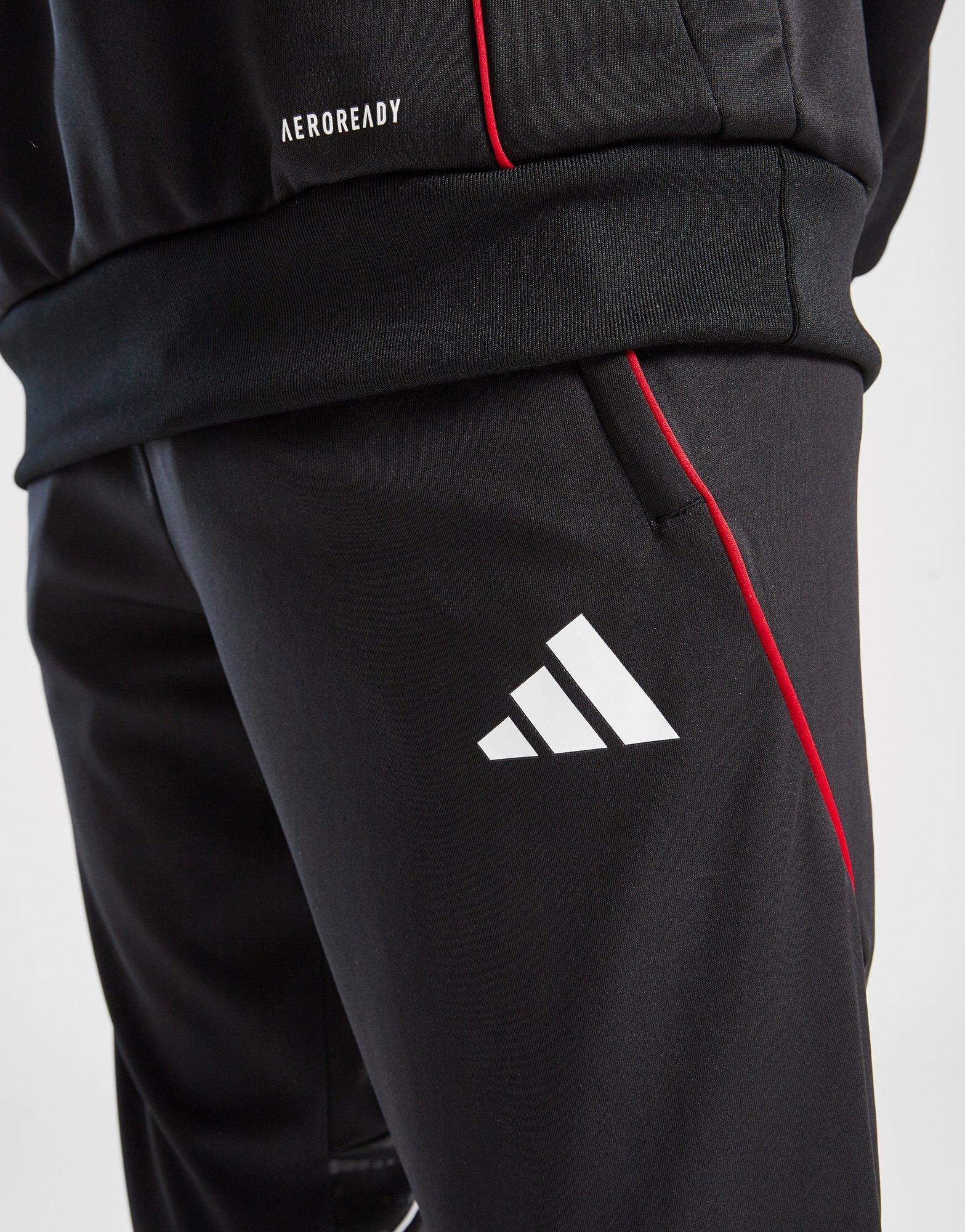 adidas Ajax Training Track Pants Junior