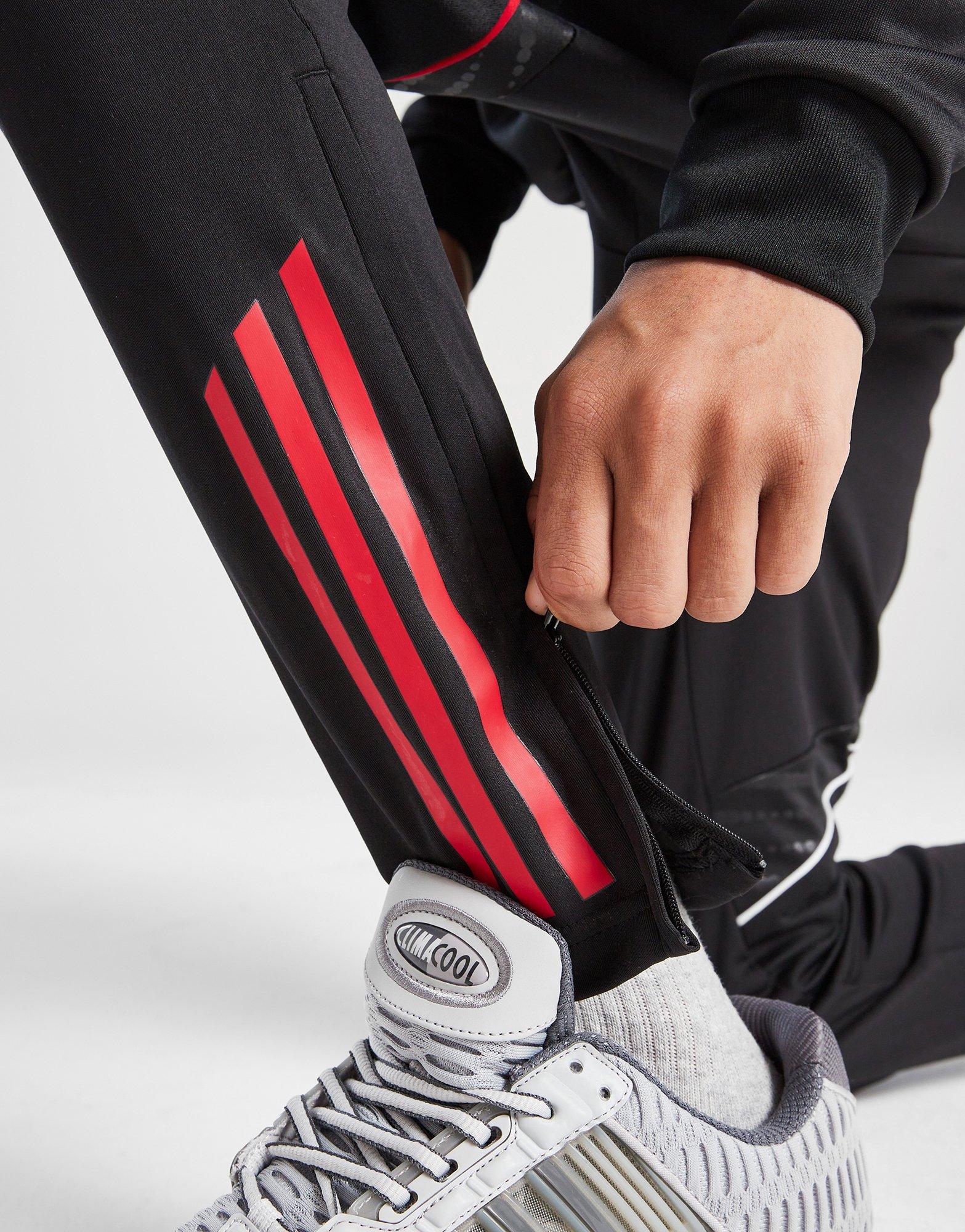 adidas Ajax Training Track Pants Junior