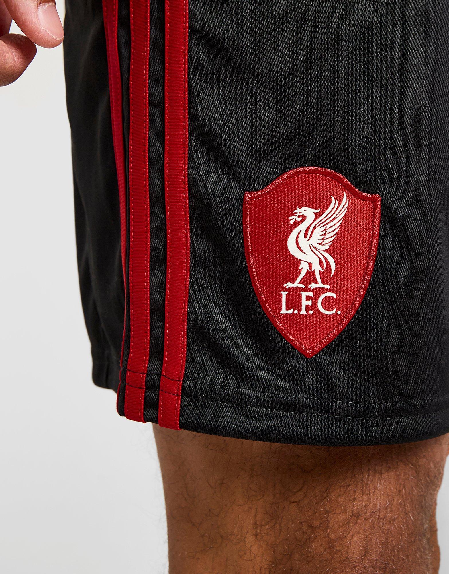 adidas Liverpool FC 2025/26 Away Shorts