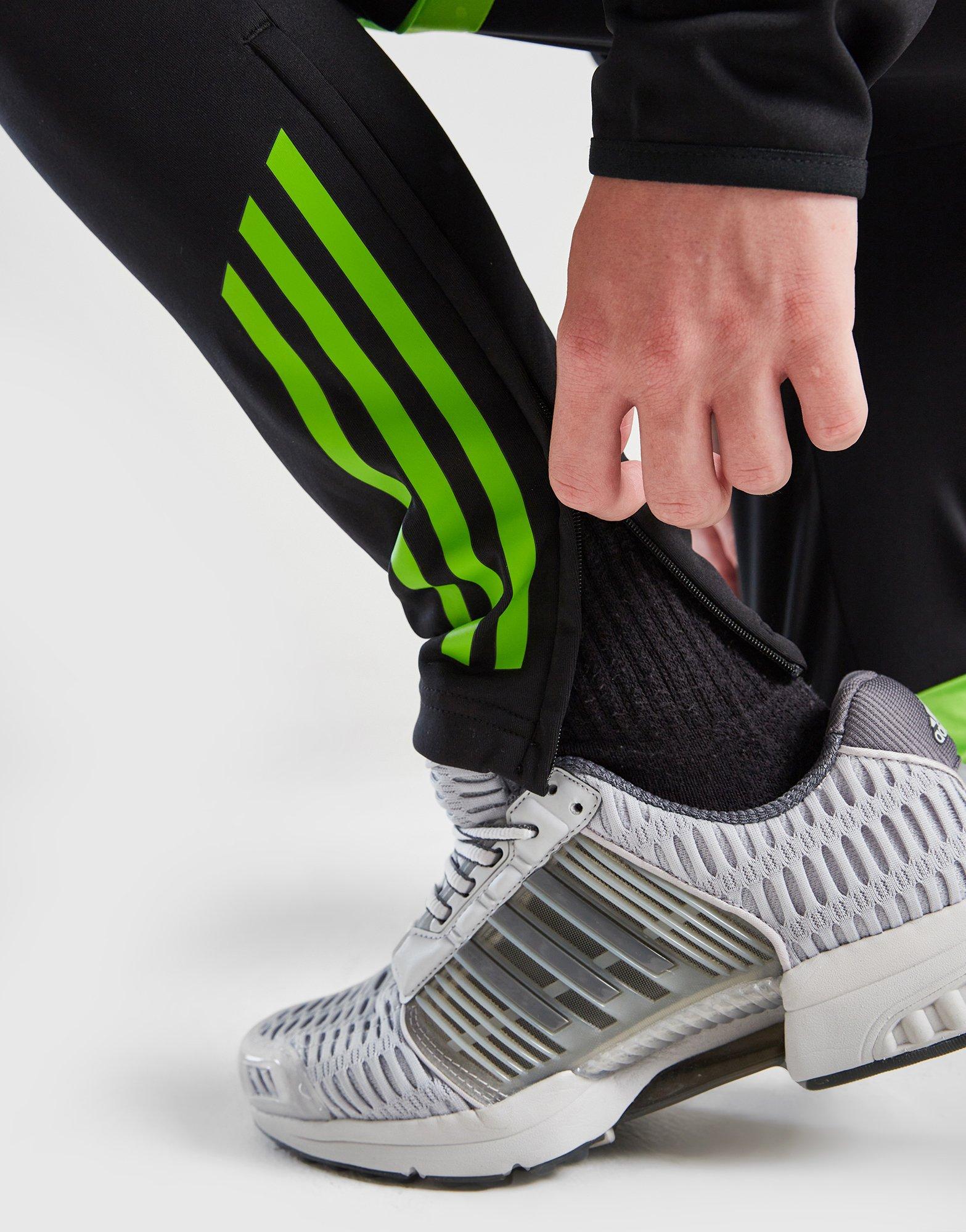 adidas Celtic Training Track Pants Junior