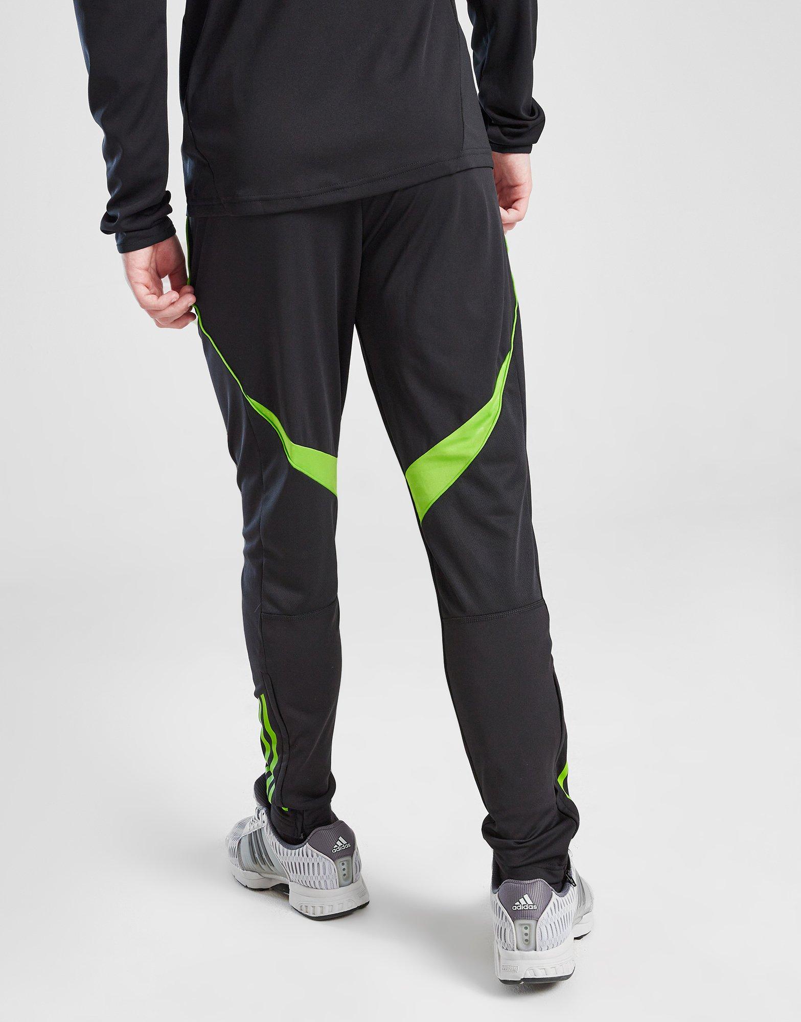 adidas Celtic Training Track Pants Junior