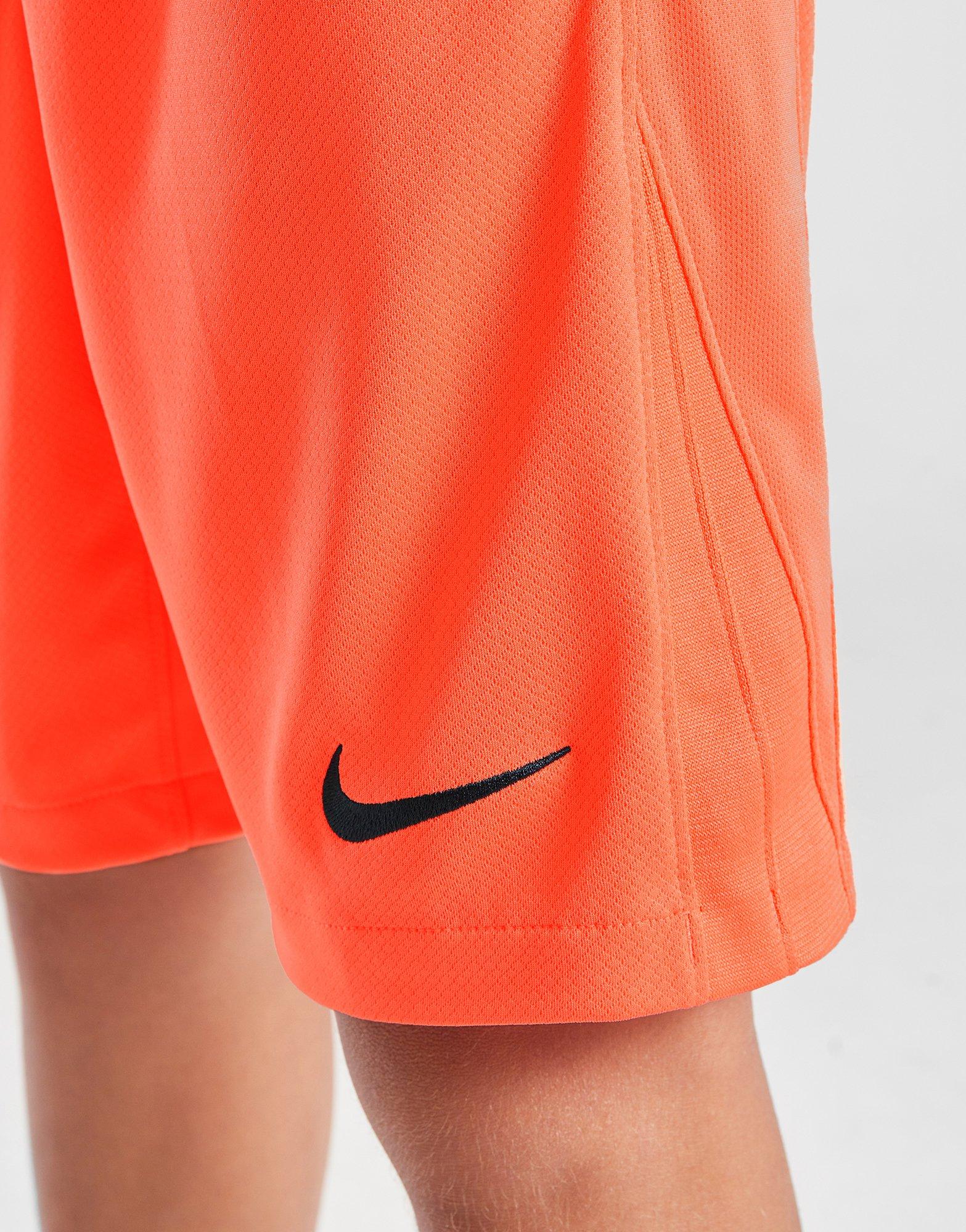 Nike FC Barcelona 2025/26 Third Shorts Junior