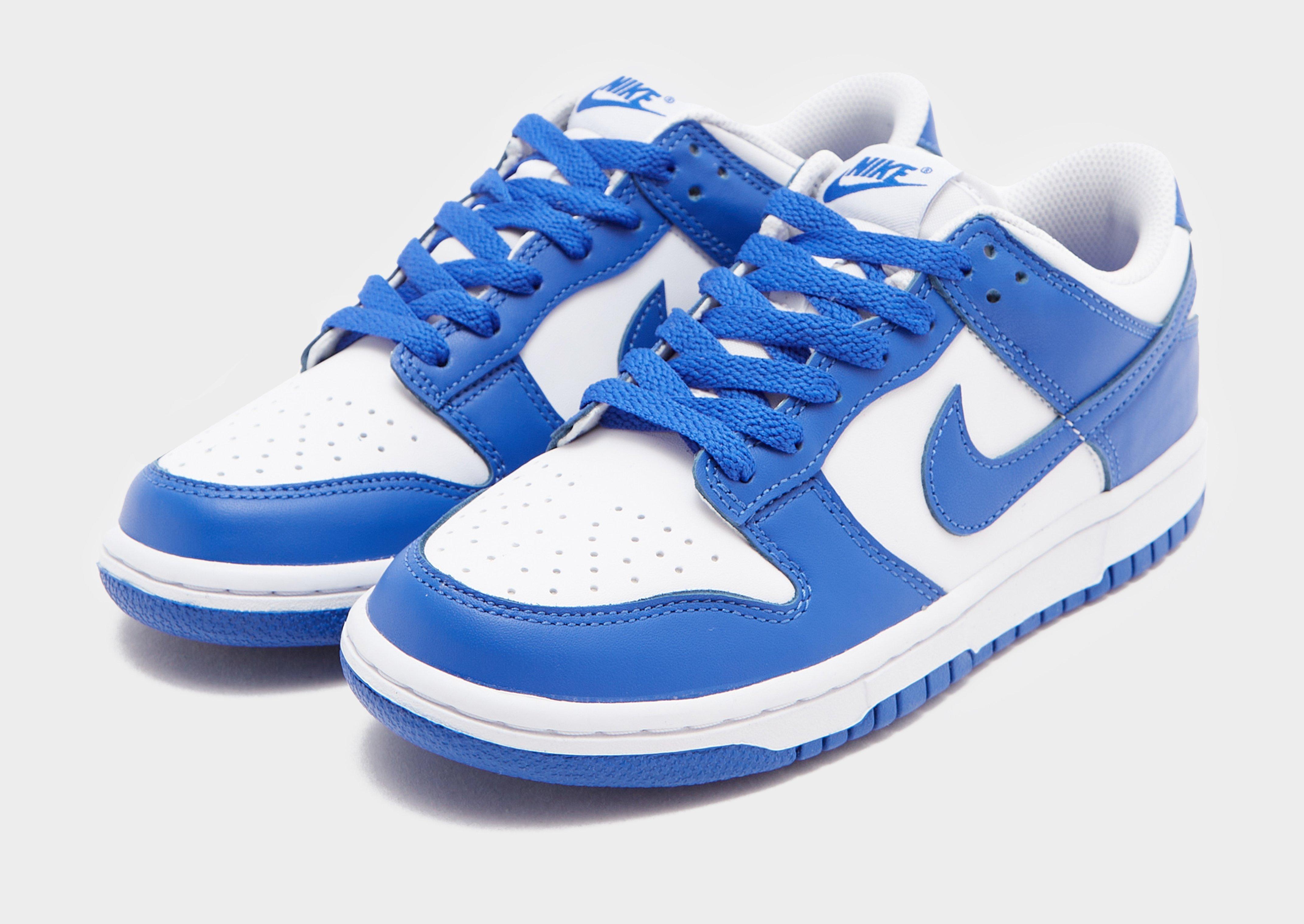 Nike Dunk Low 'Glacier Blue' Junior's