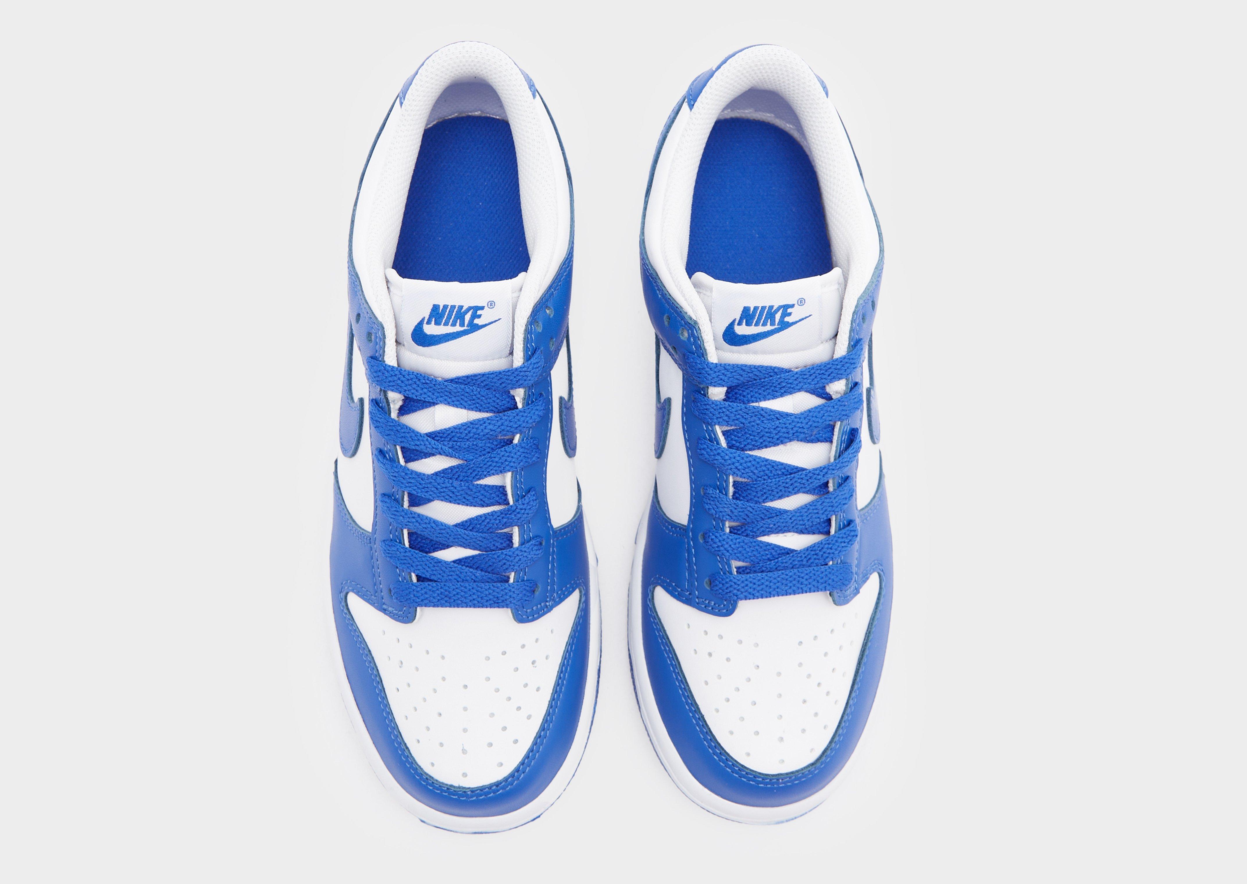 Nike Dunk Low 'Glacier Blue' Junior's