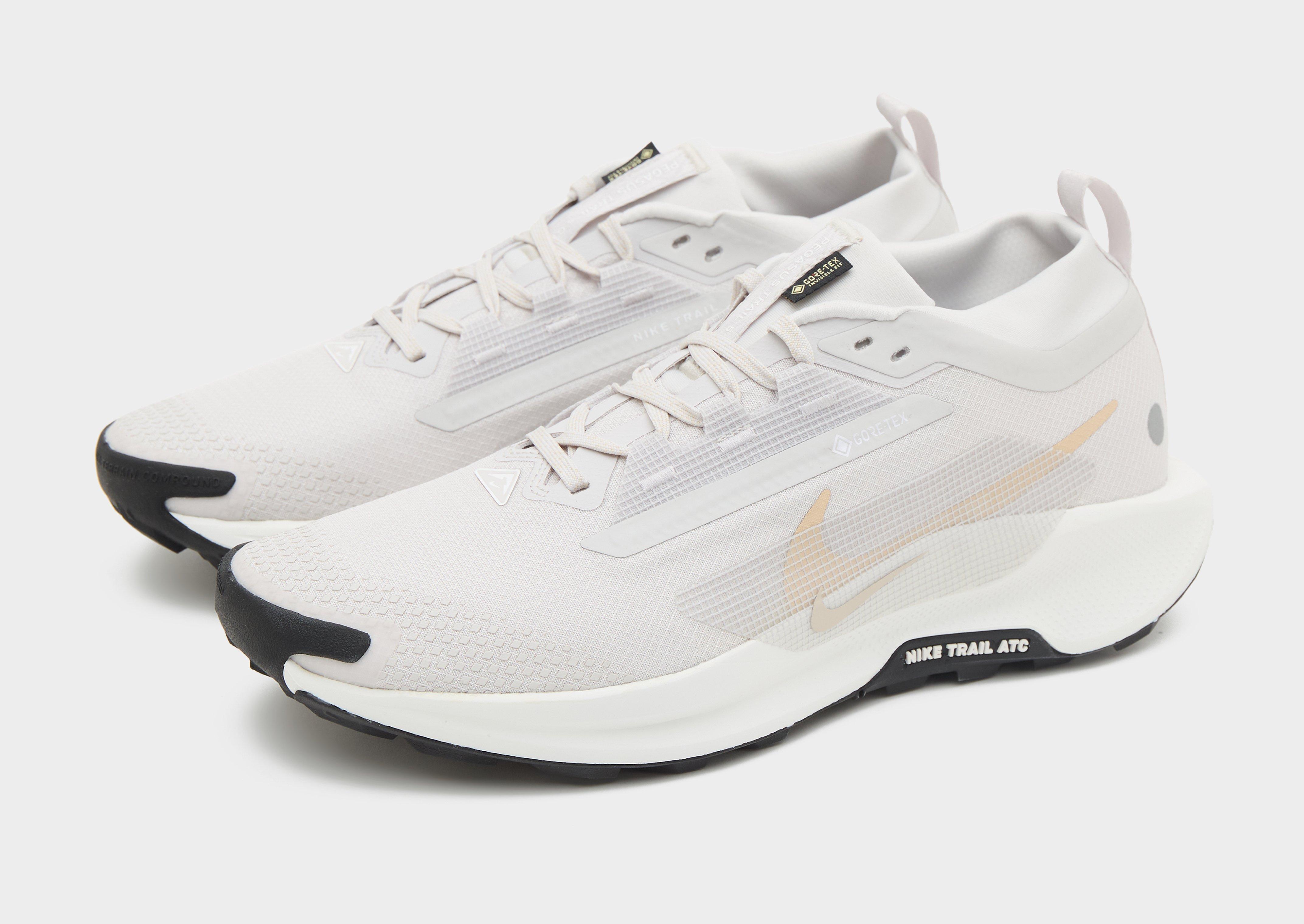 Nike Pegasus Trail 5 GORE-TEX