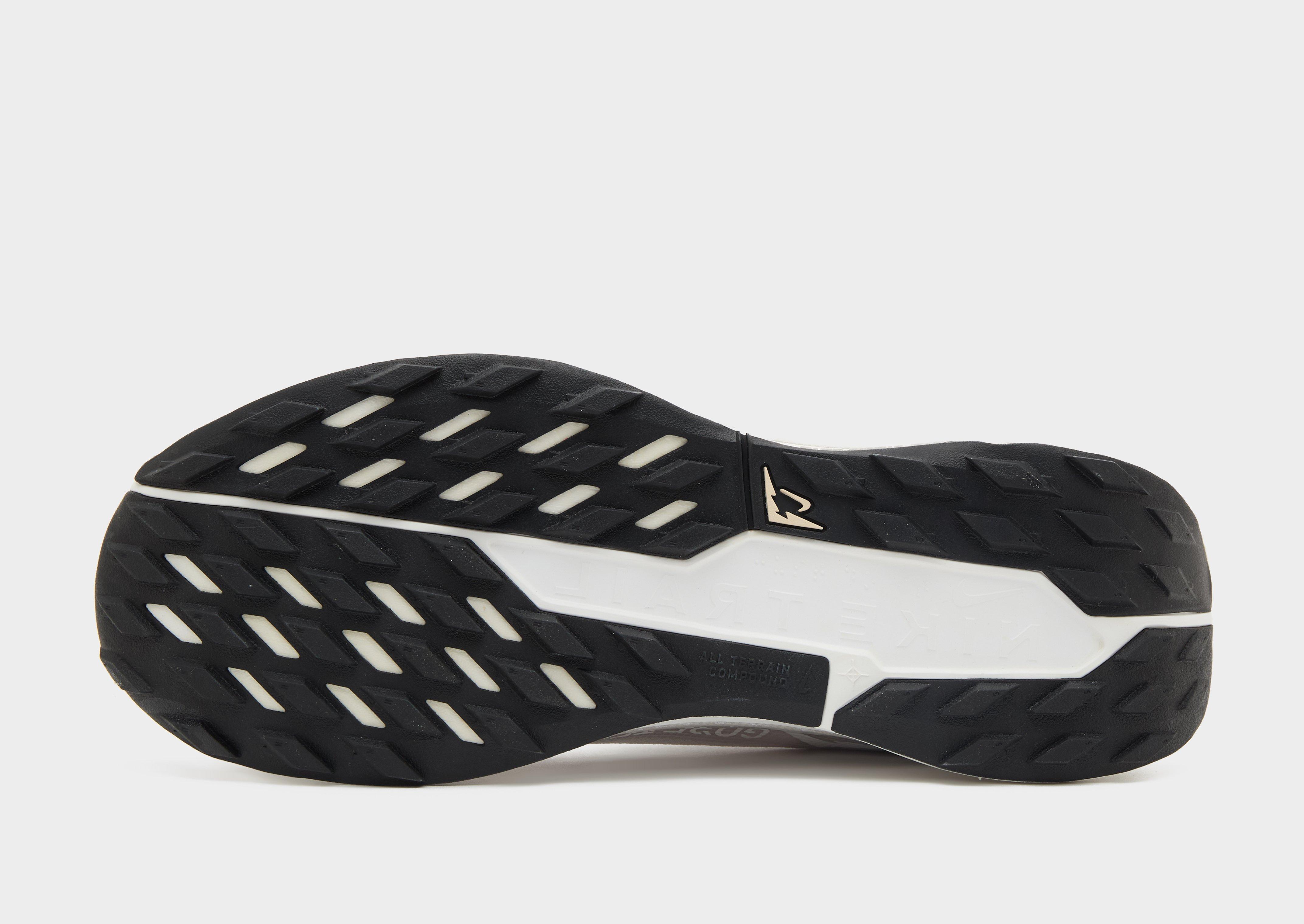 Nike Pegasus Trail 5 GORE-TEX