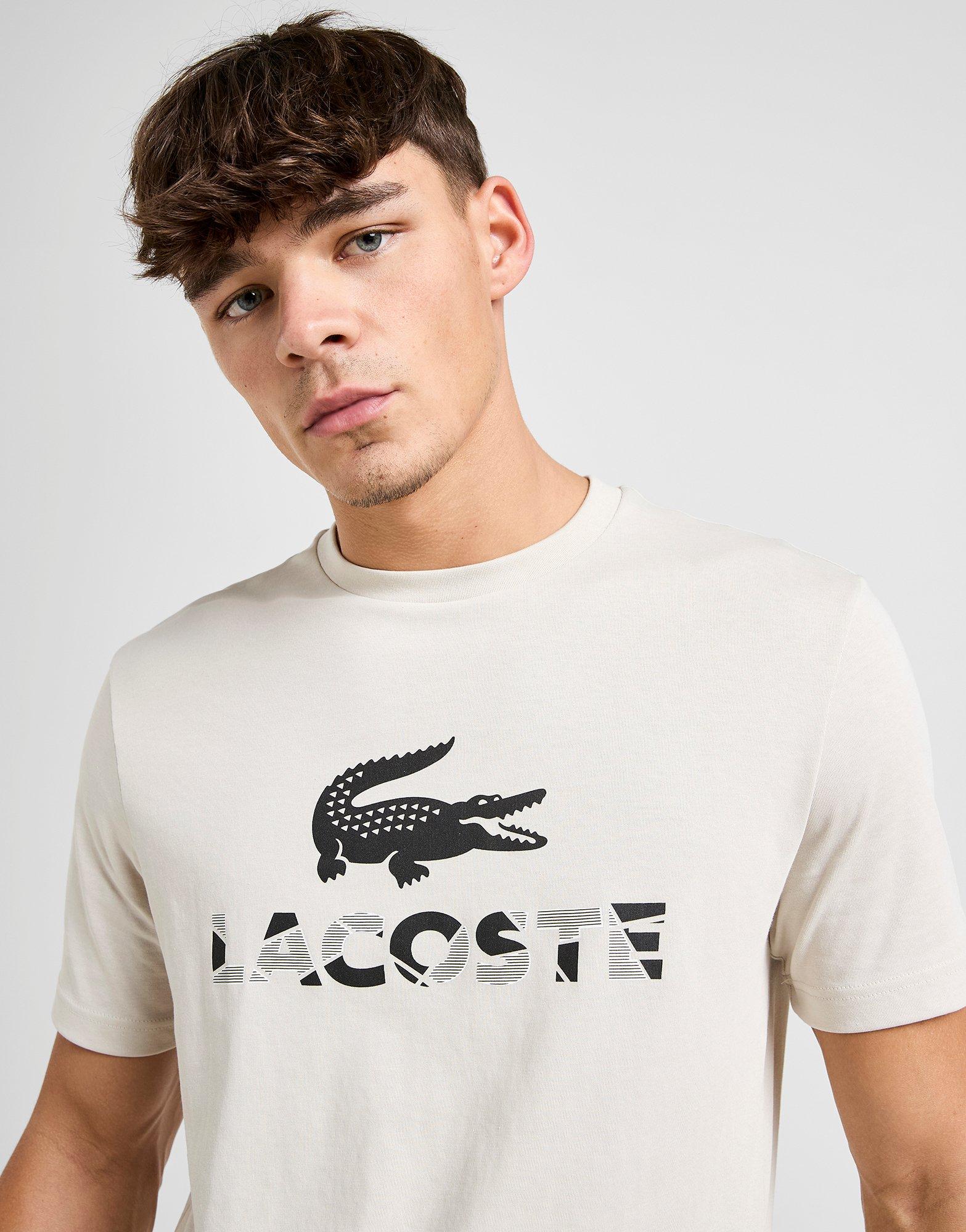 Lacoste T-shirt logo craquelé