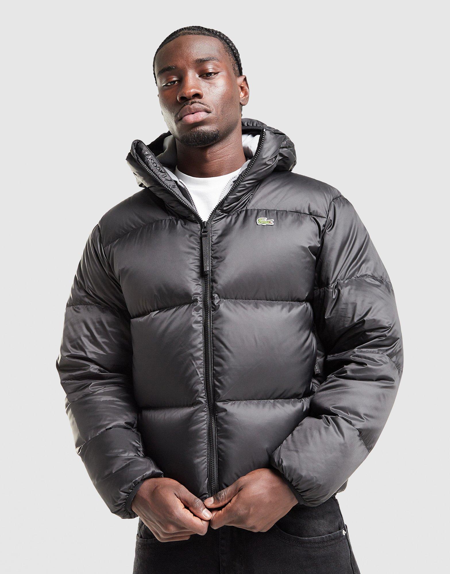 Lacoste Back Crocodile Padded Jacket