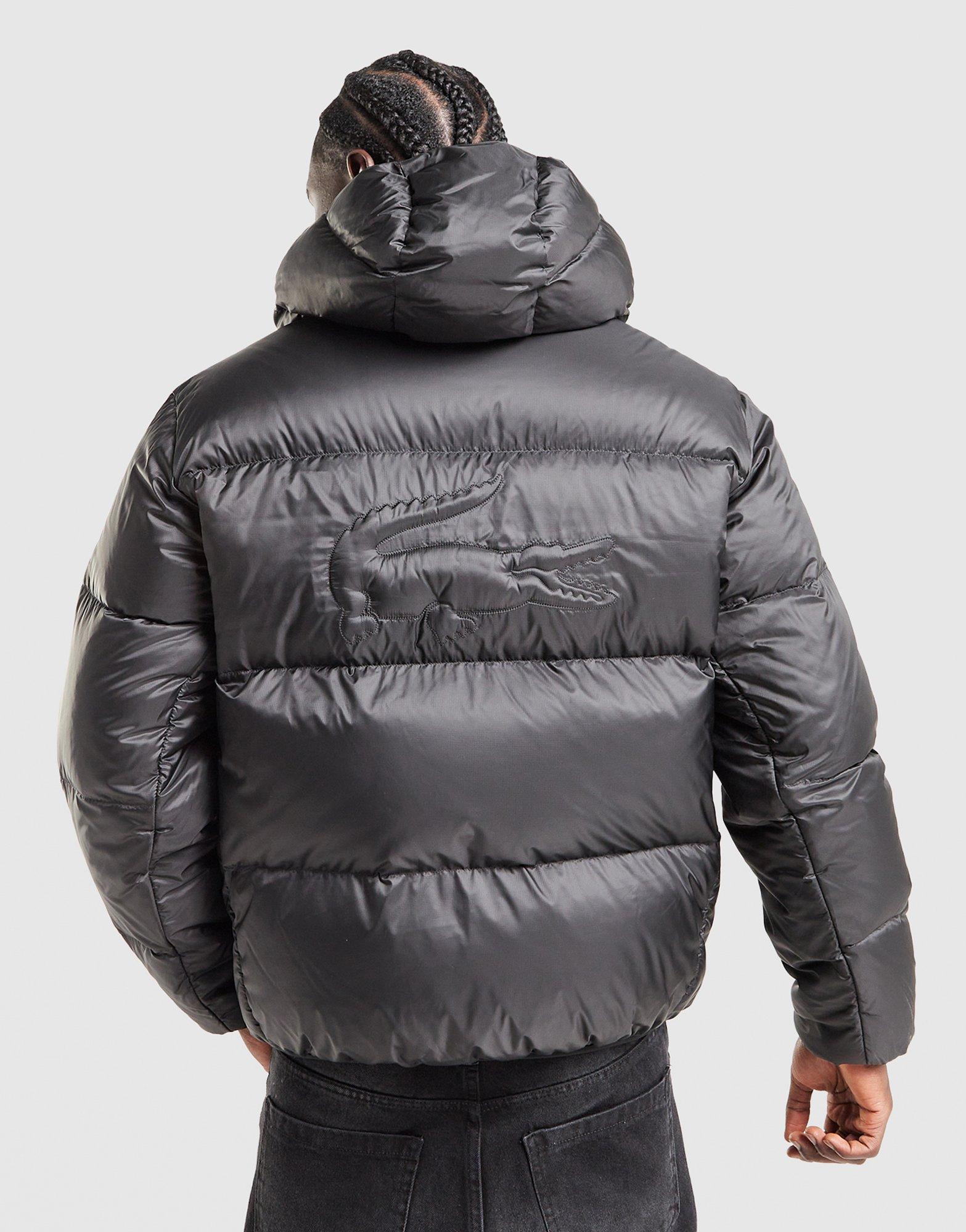 Lacoste Back Crocodile Padded Jacket
