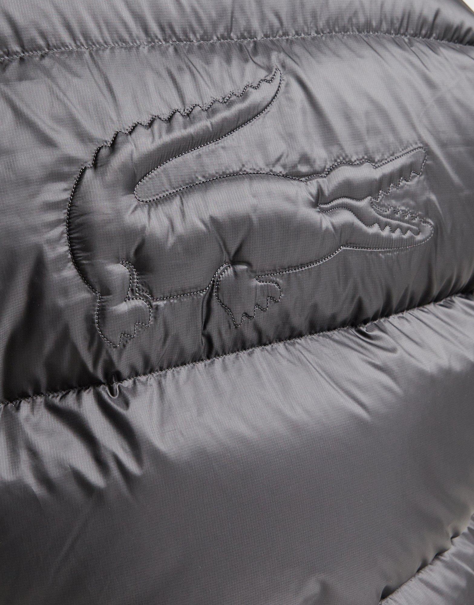 Lacoste Back Crocodile Padded Jacket