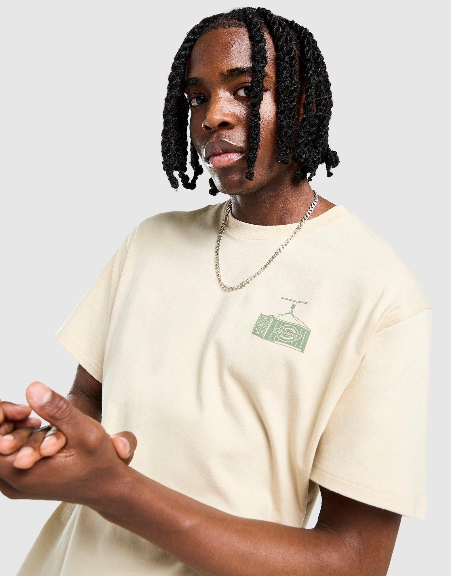 Dickies Apison T-Shirt