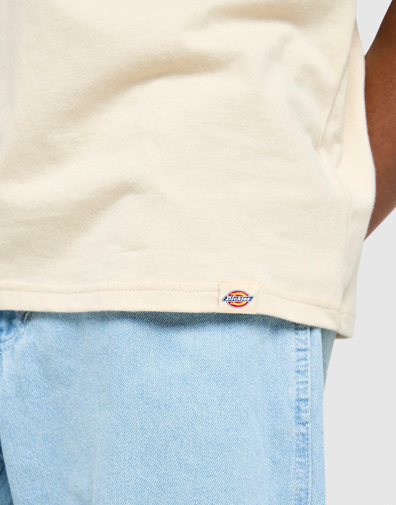 Dickies Apison T-Shirt