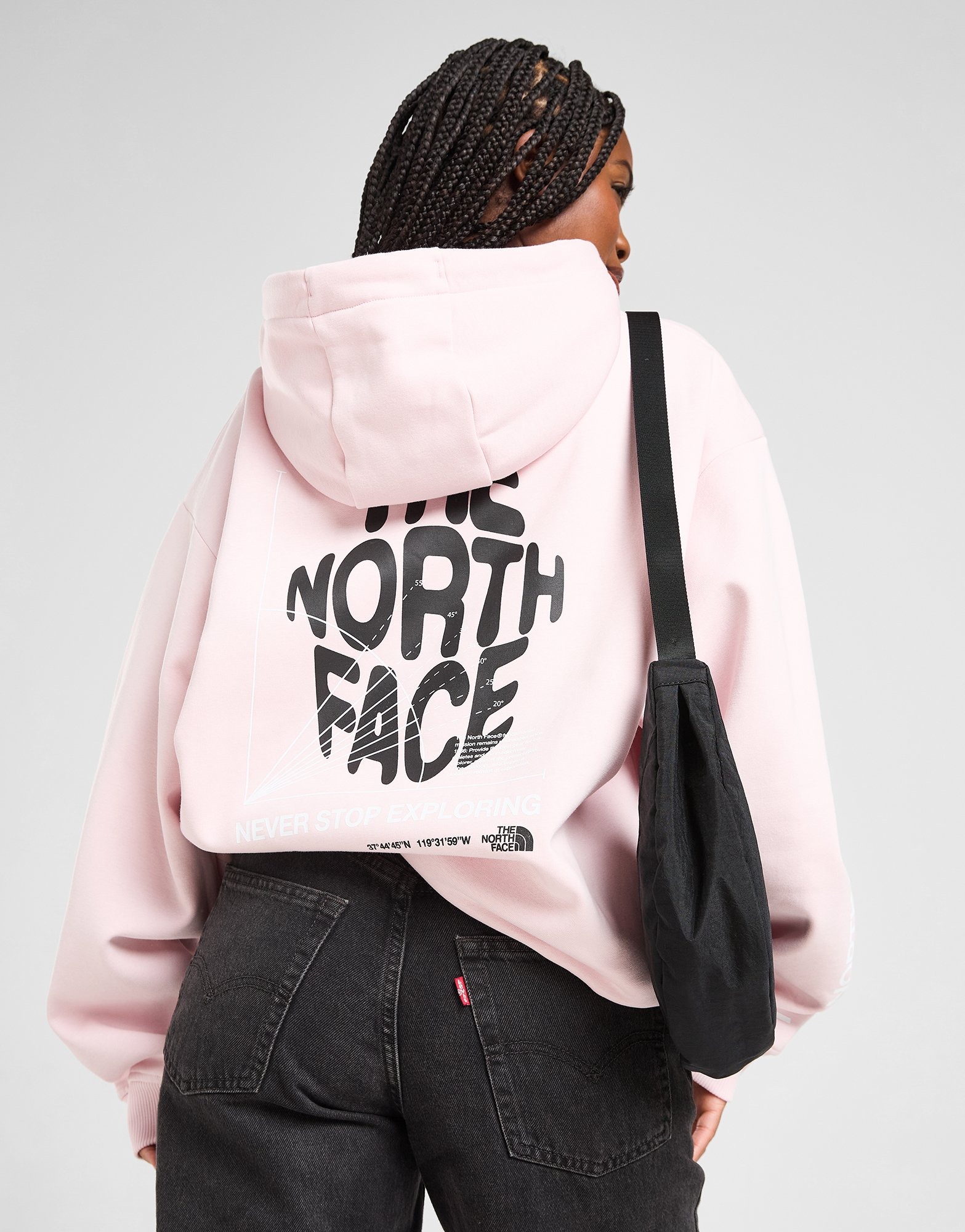 The North Face Sweat à capuche Balance Rose- JD Sports France