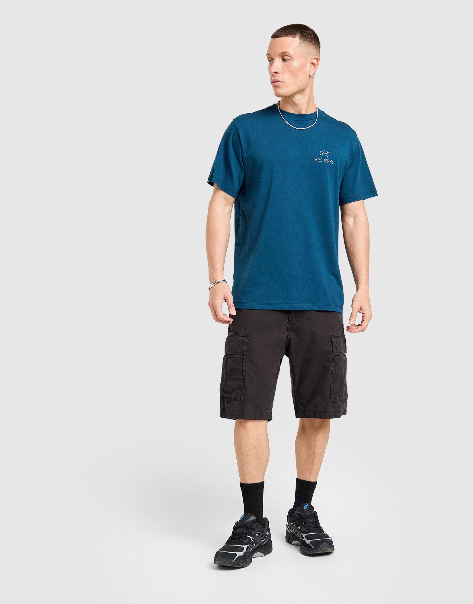 Arc'teryx T-shirt Kragg Back Bird