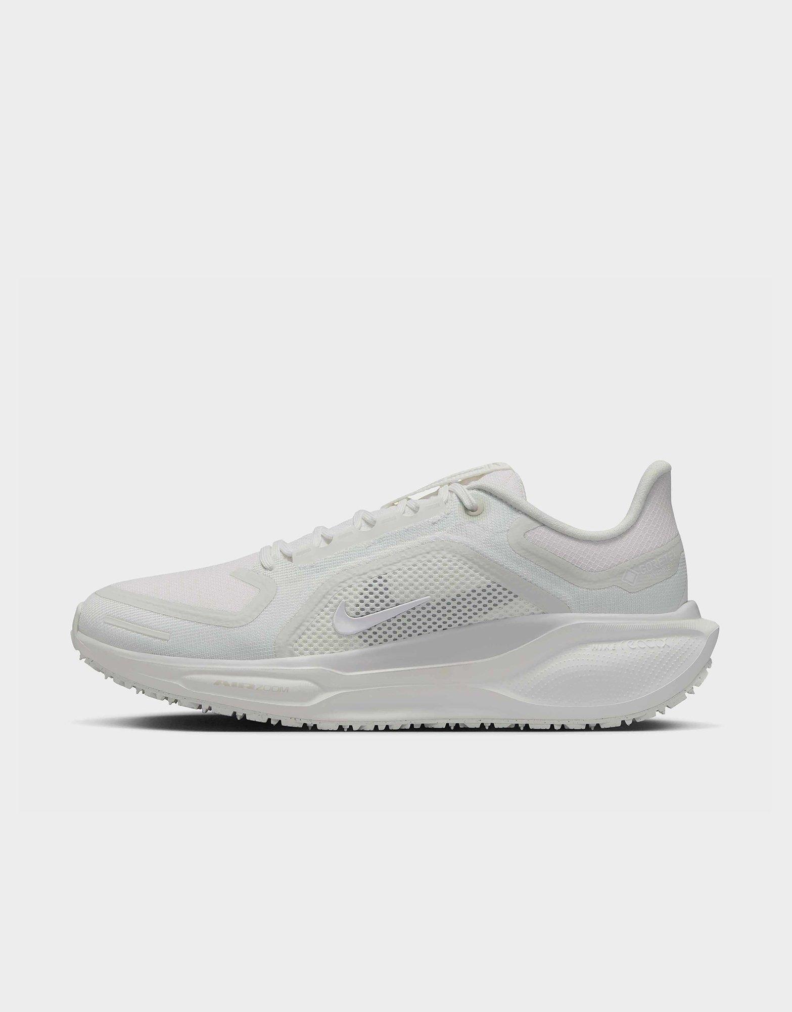 Nike Pegasus 41 GORE-TEX Women's