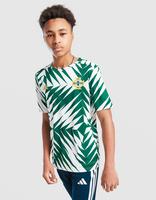 adidas Camiseta Irlanda del Norte Pre Match Júnior