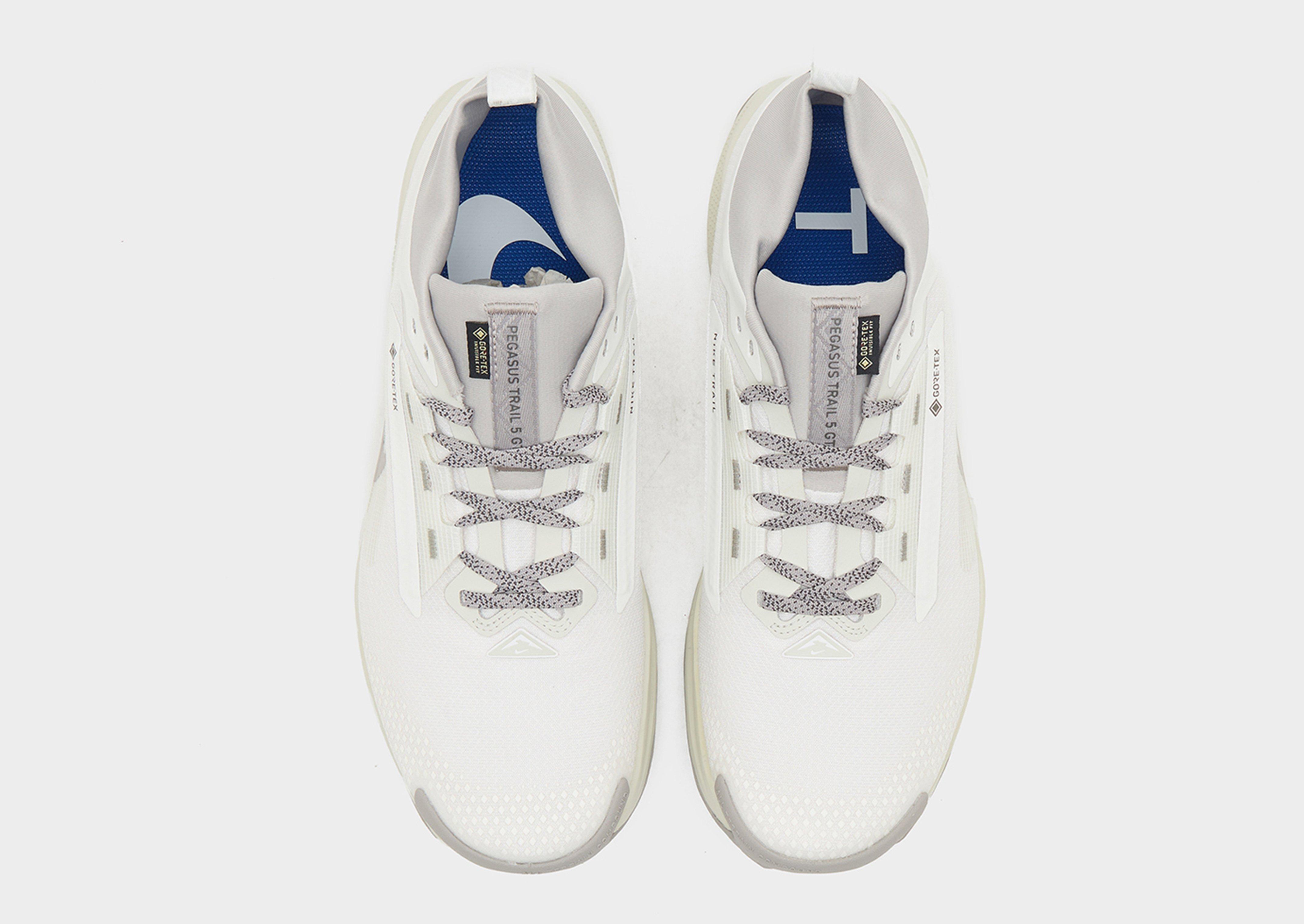 Nike Pegasus Trail 5 GORE-TEX