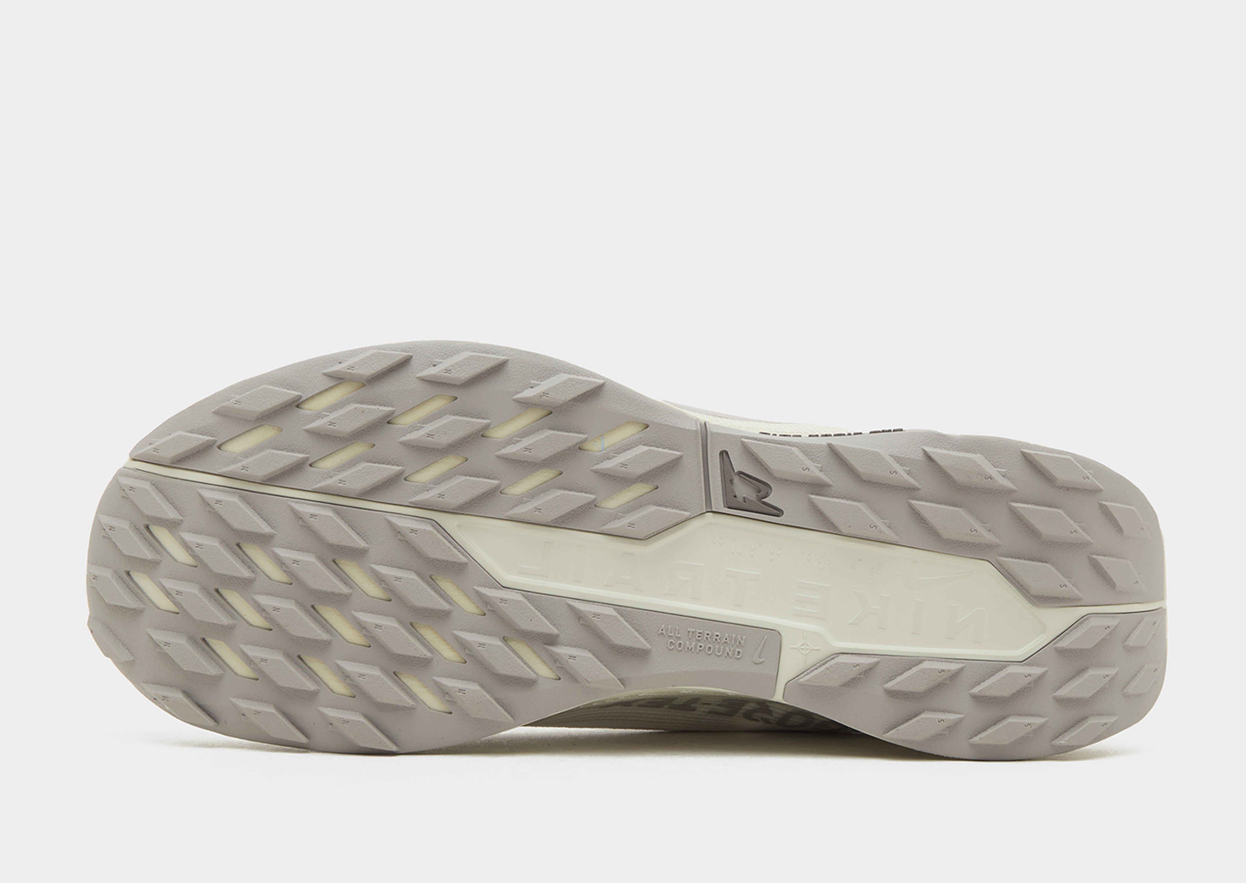 Nike Pegasus Trail 5 GORE-TEX