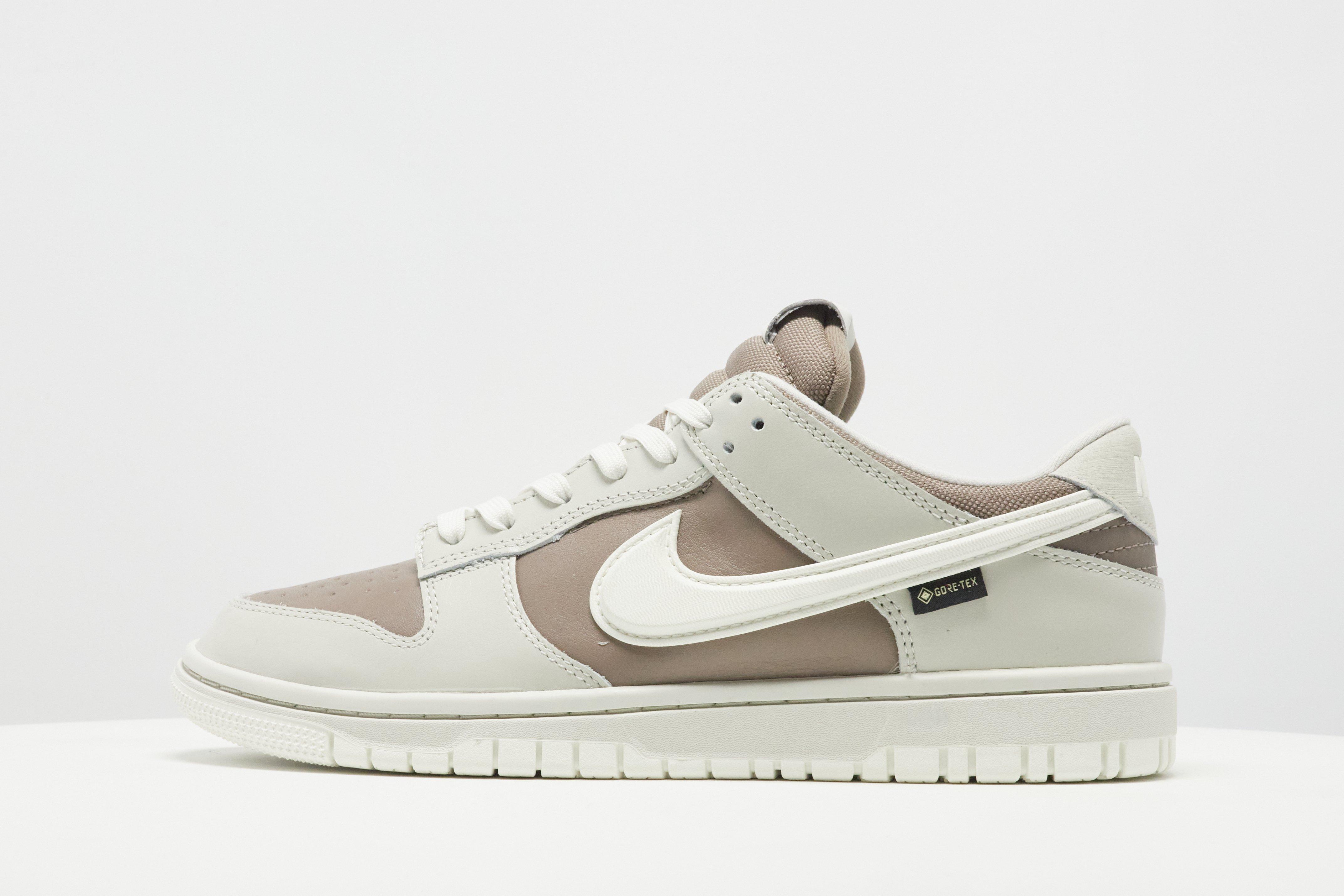 Nike Dunk Low GORE-TEX