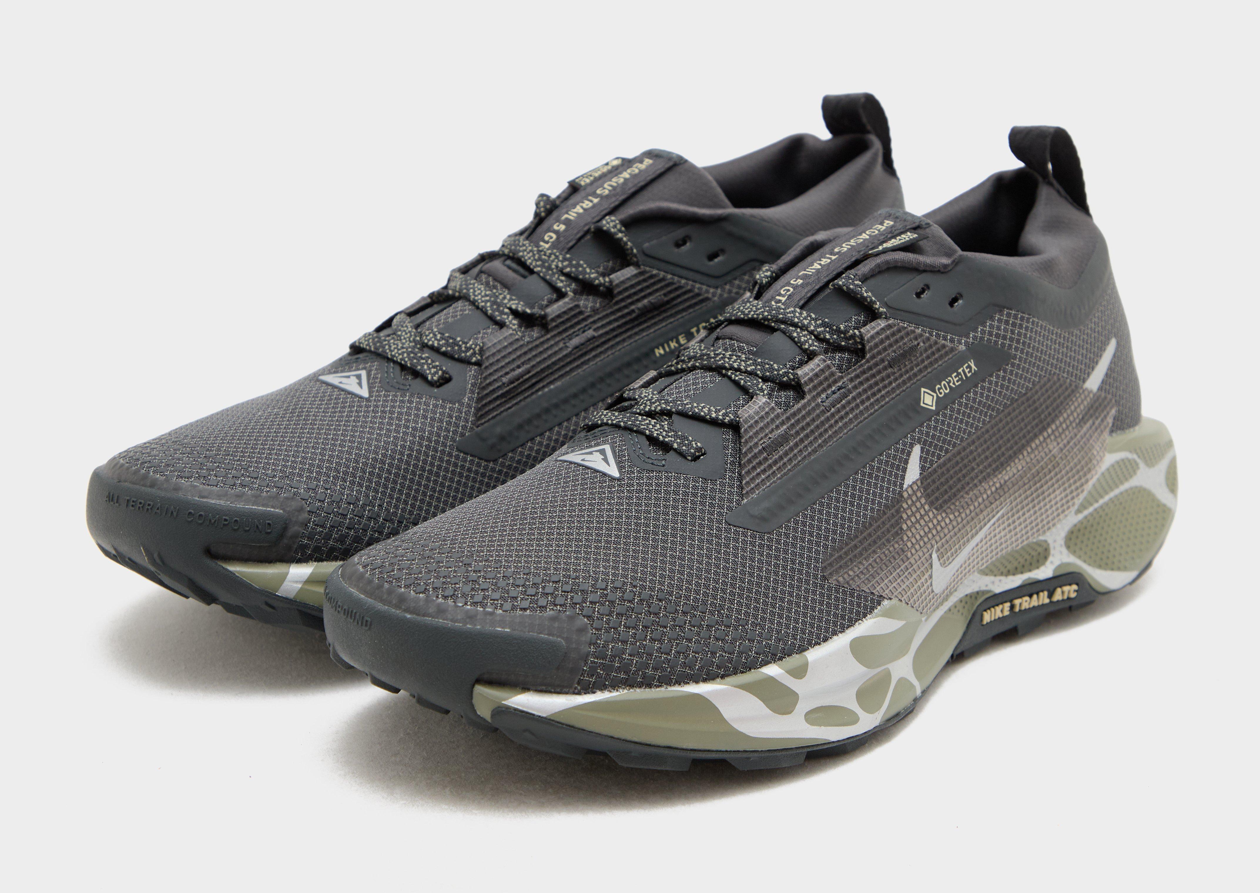 Nike Pegasus Trail 5 GORE-TEX