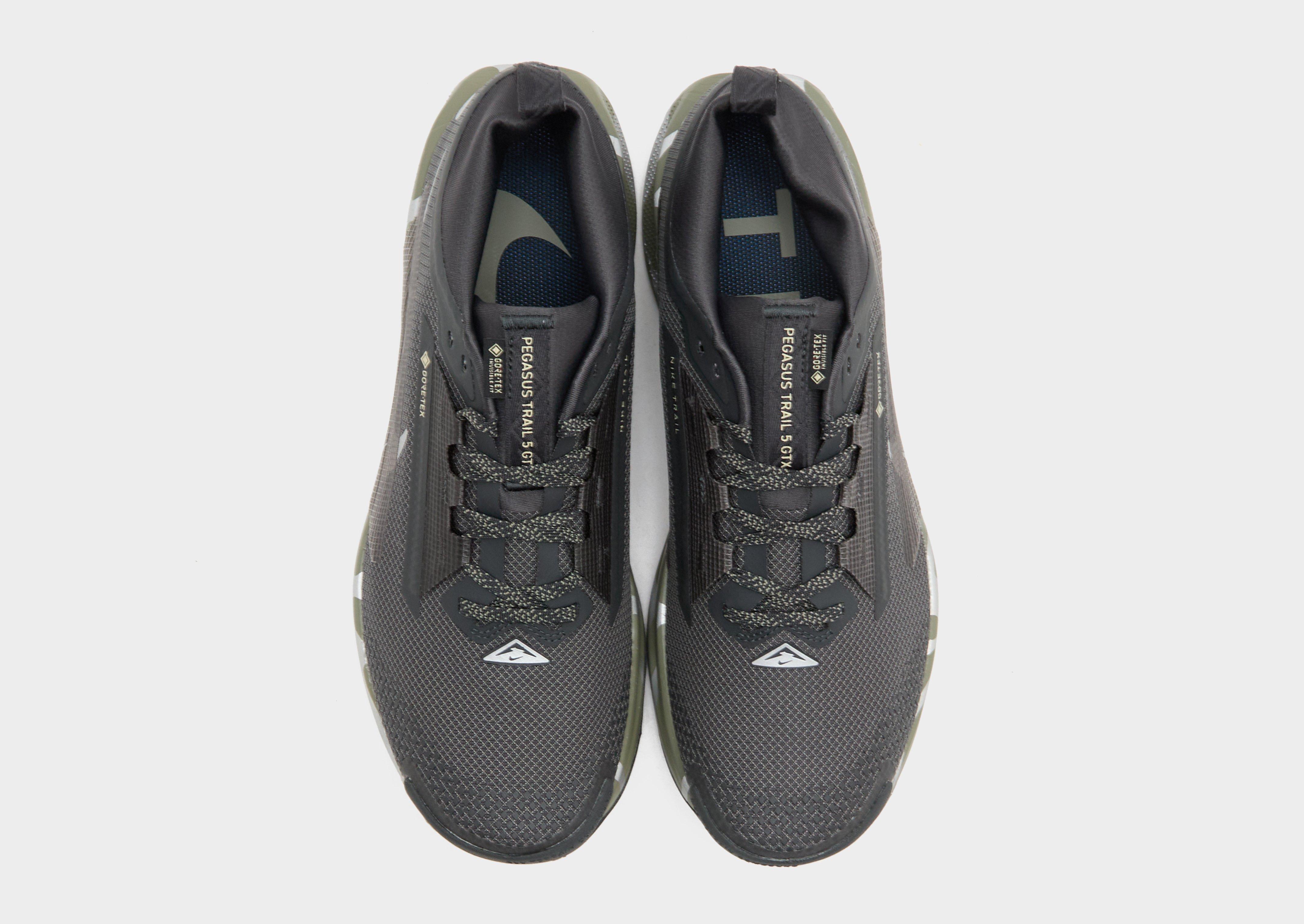 Nike Pegasus Trail 5 GORE-TEX