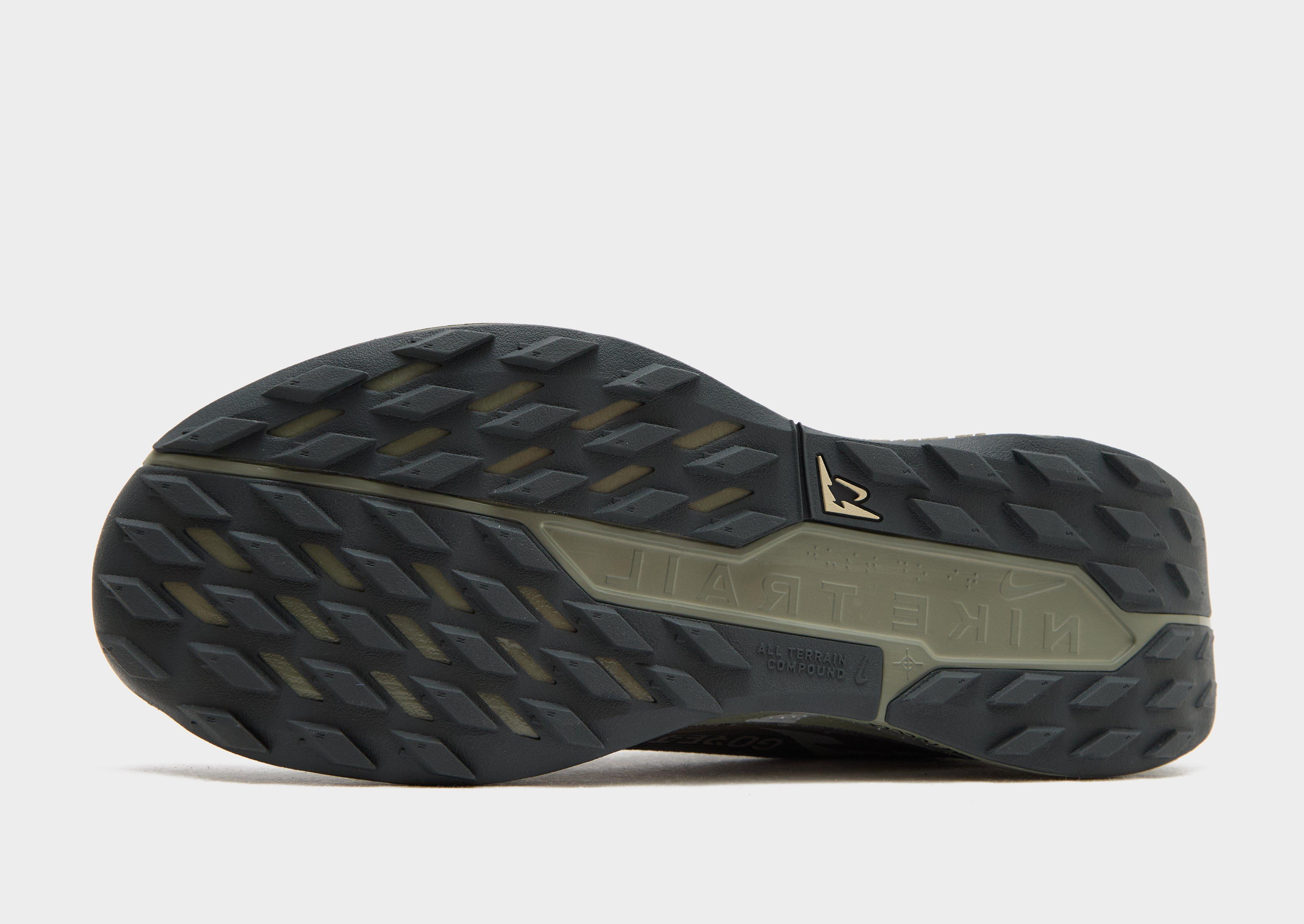 Nike Pegasus Trail 5 GORE-TEX