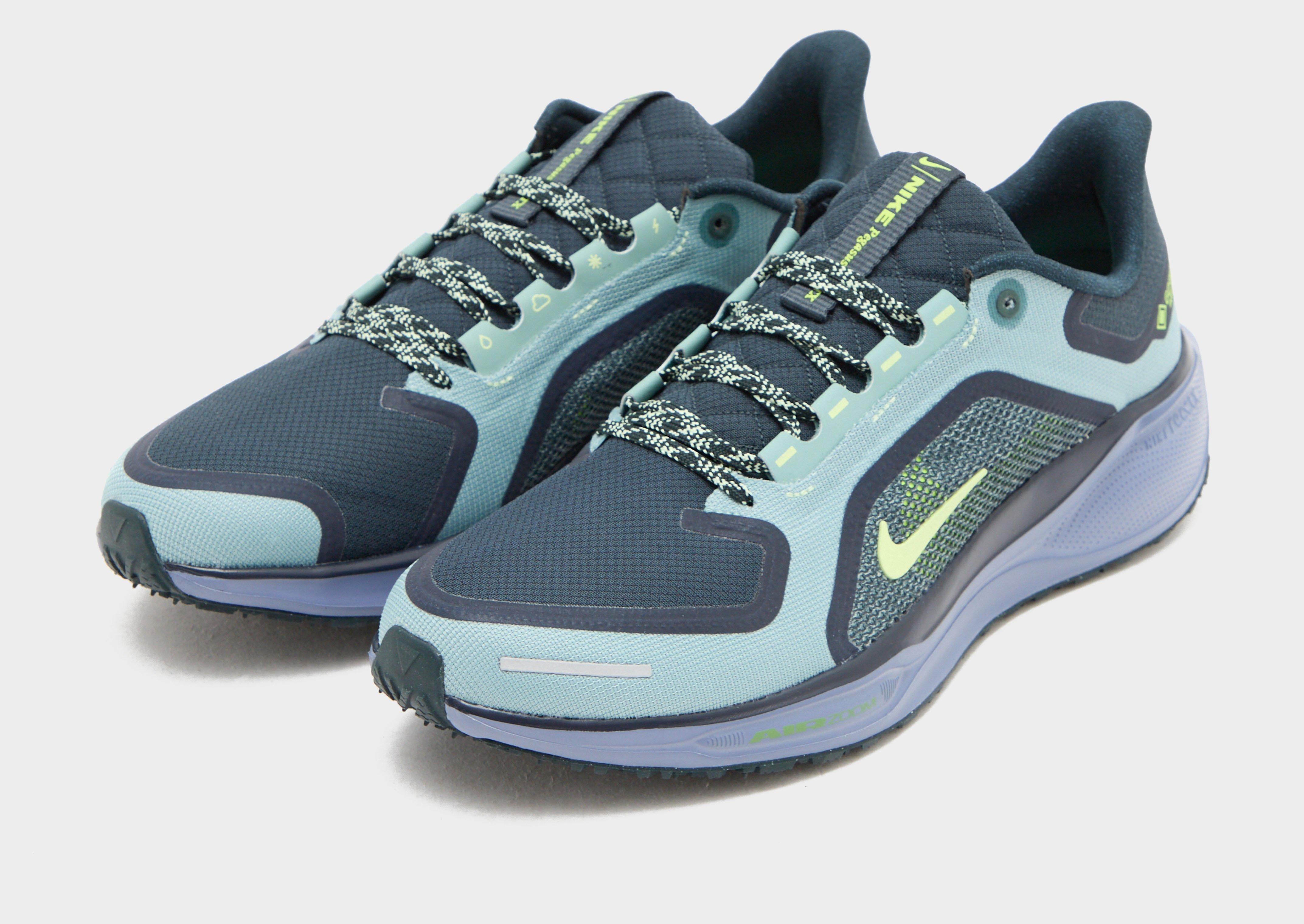 Nike Pegasus 41 GORE-TEX