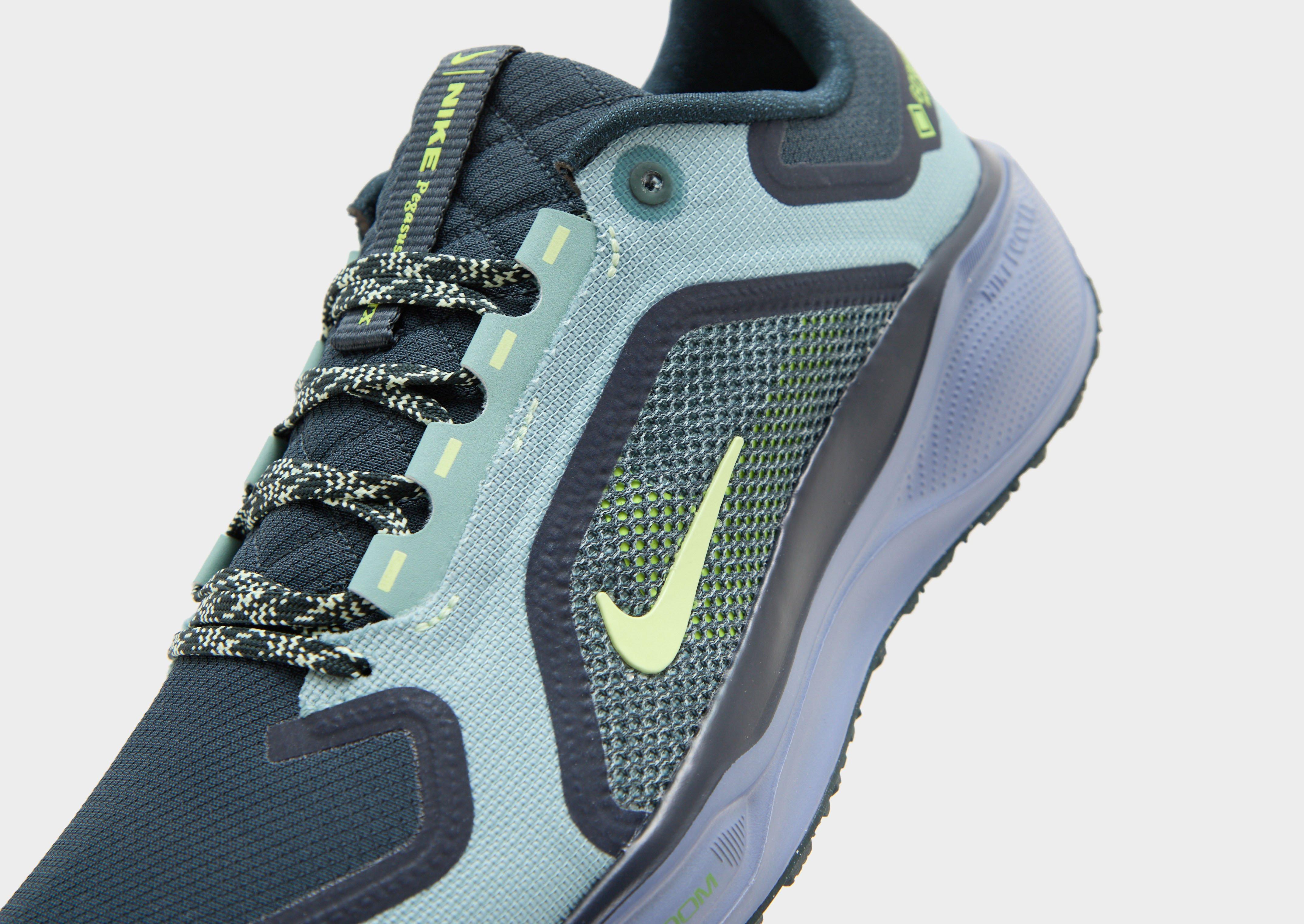 Nike Pegasus 41 GORE-TEX