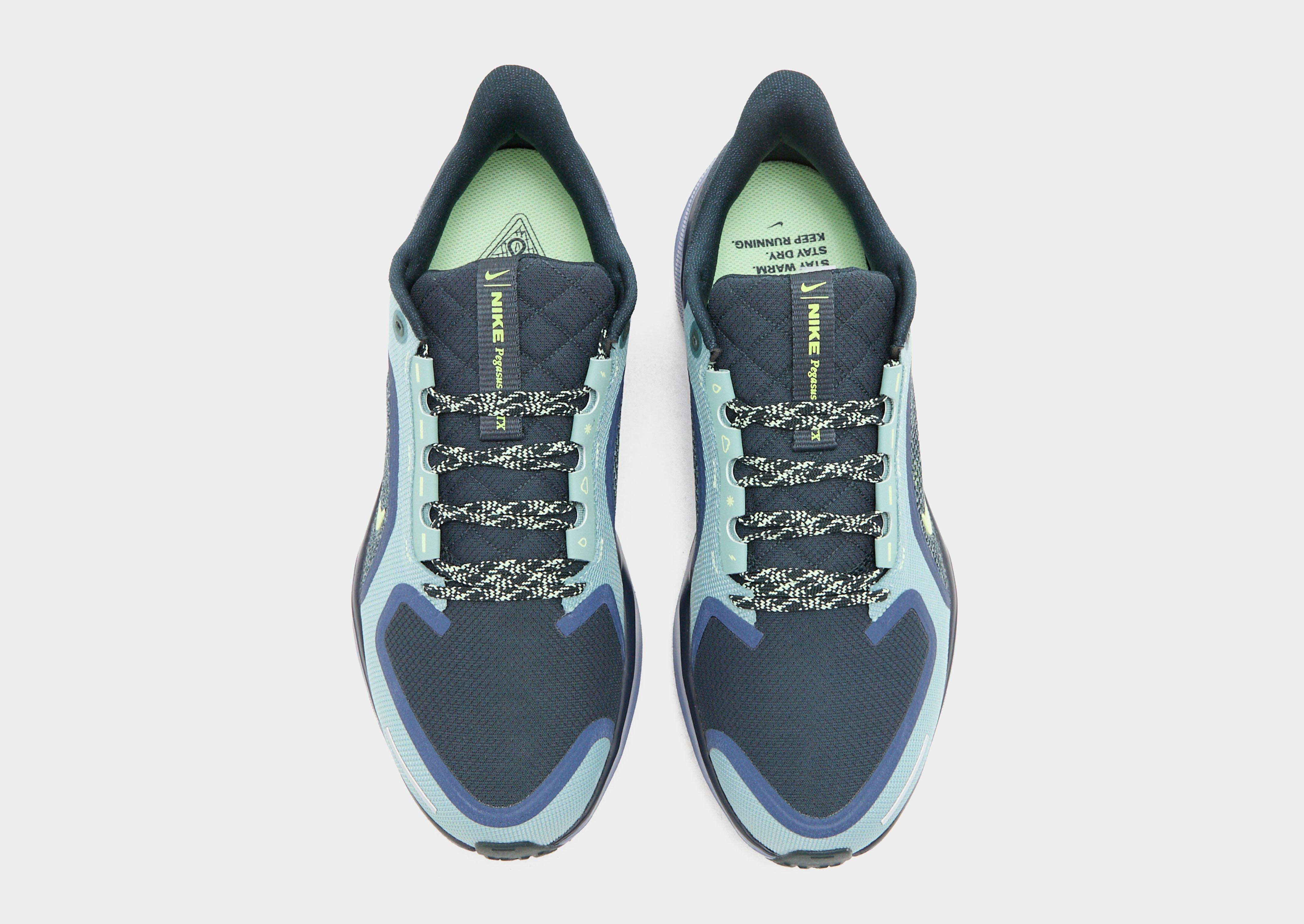 Nike Pegasus 41 GORE-TEX