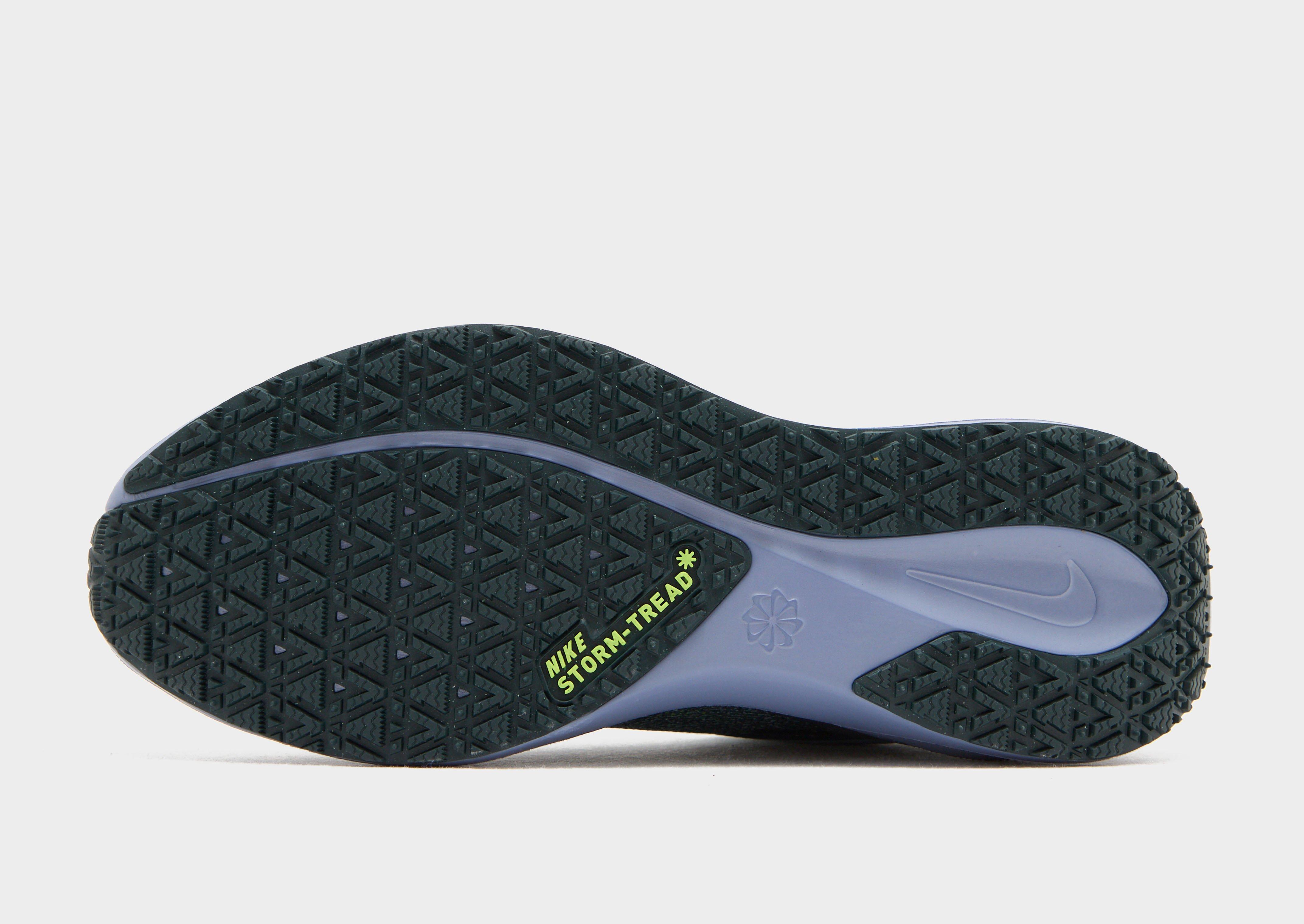 Nike Pegasus 41 GORE-TEX