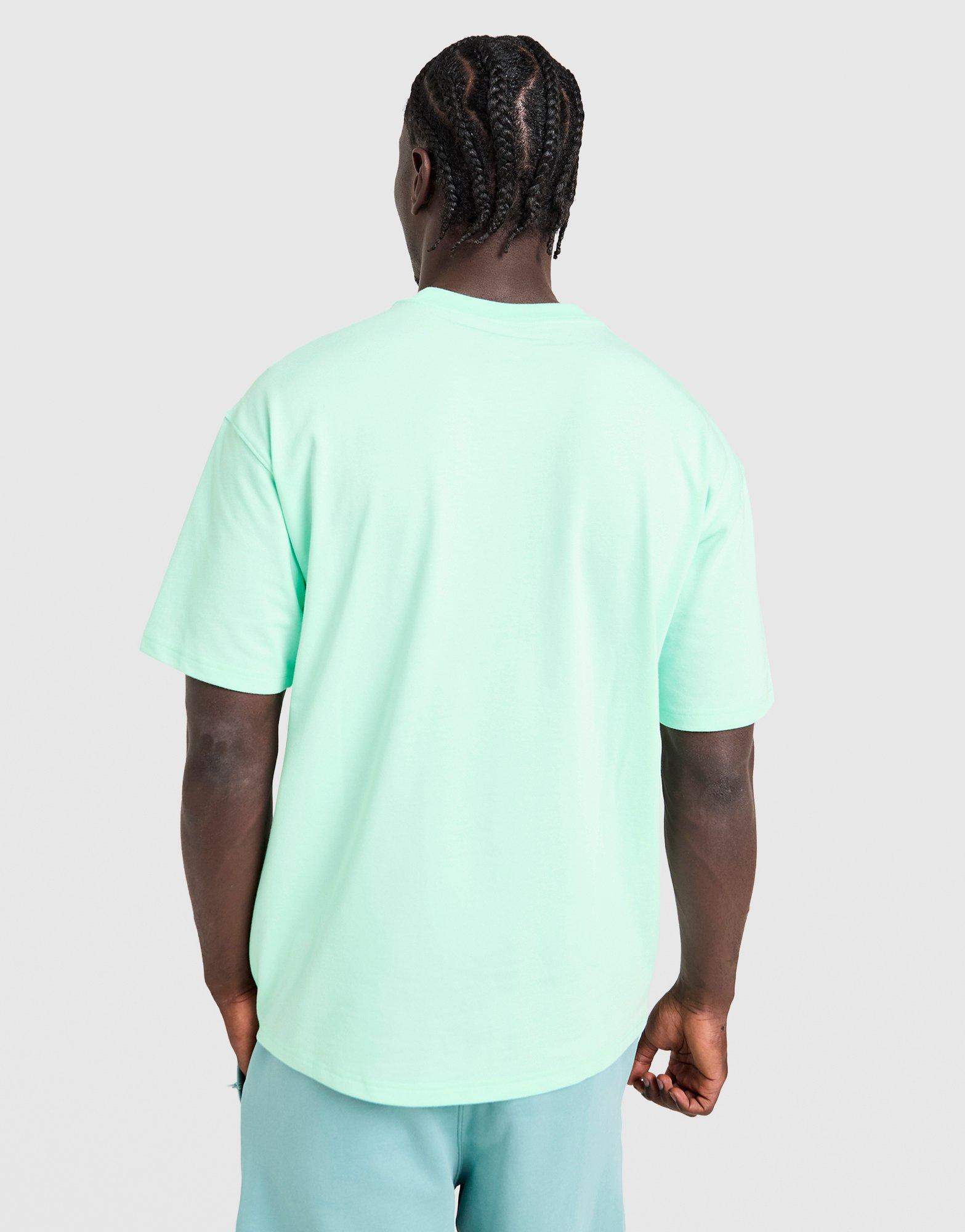 Nike T-shirt Lungs ACG