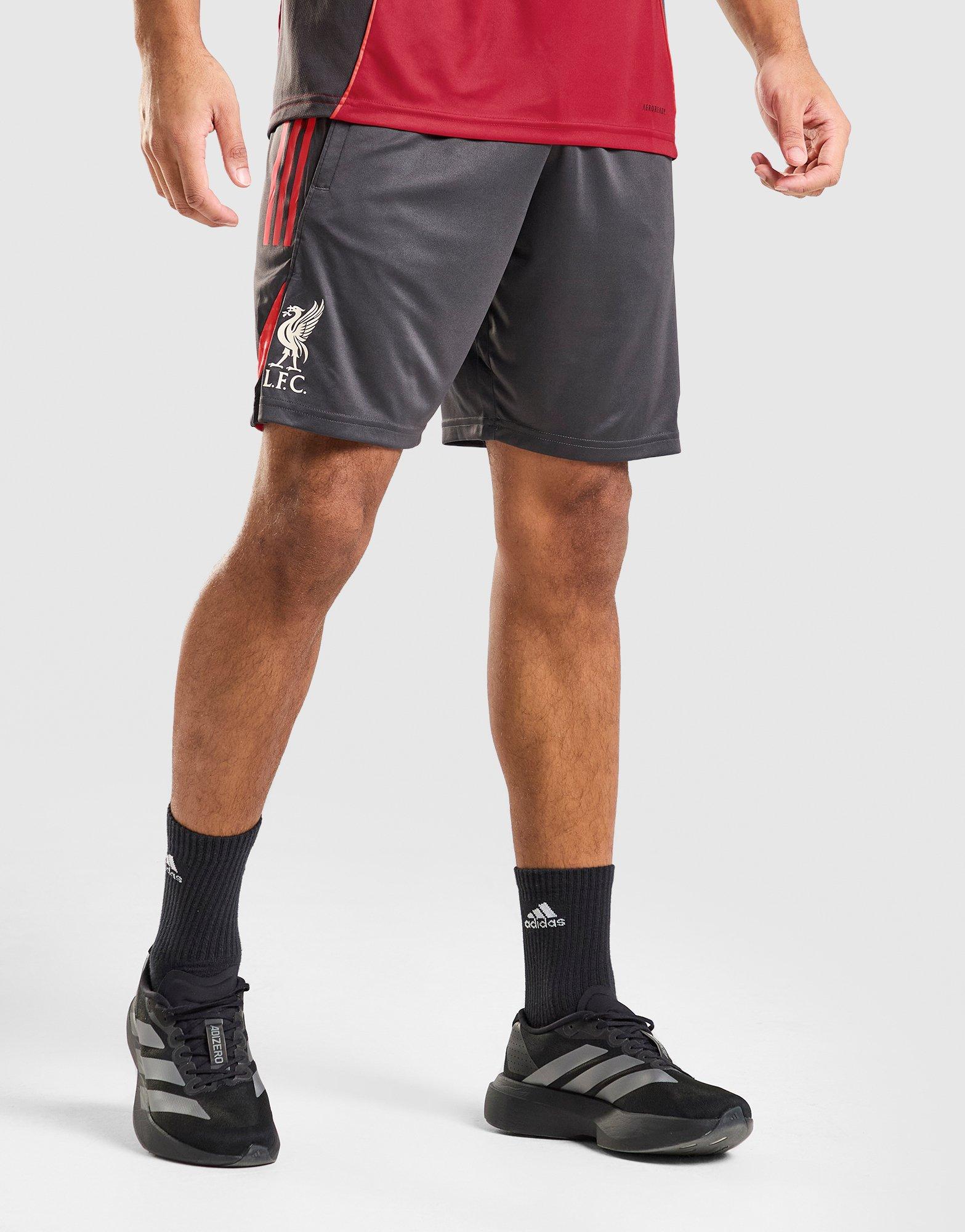 adidas Short d’entraînement Liverpool FC Tiro 25