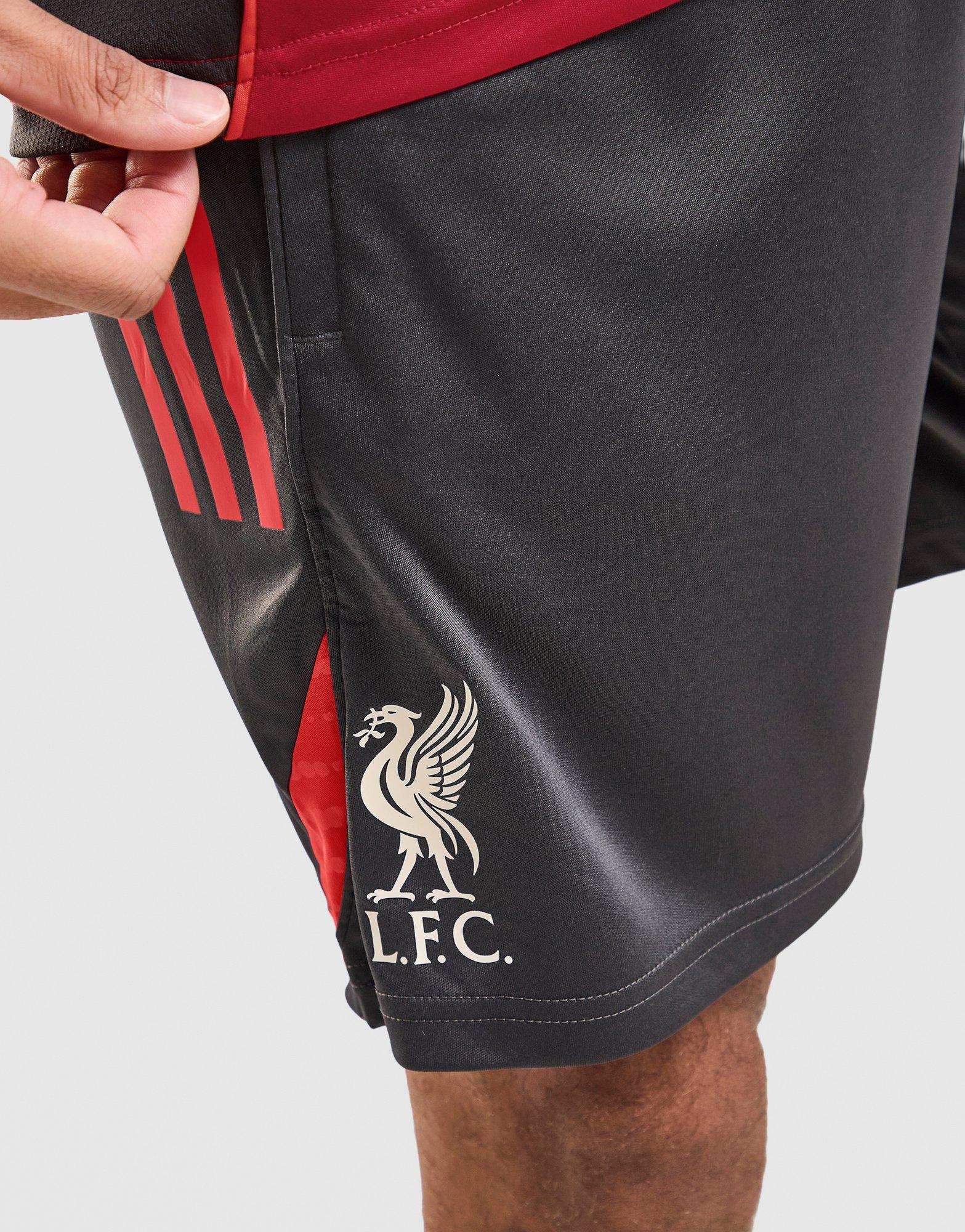 adidas Short d’entraînement Liverpool FC Tiro 25