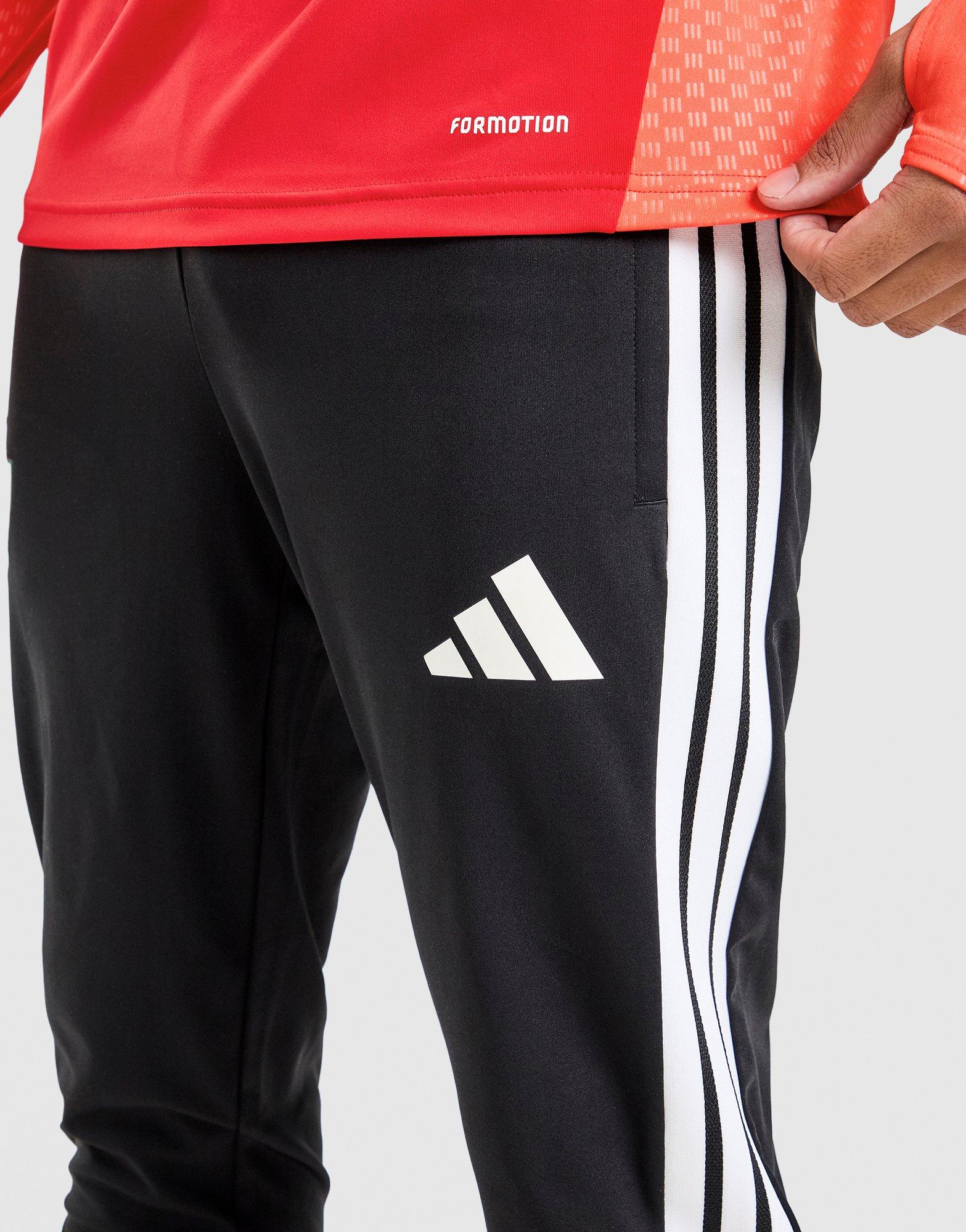 adidas Wales Tiro 26 Training Pants