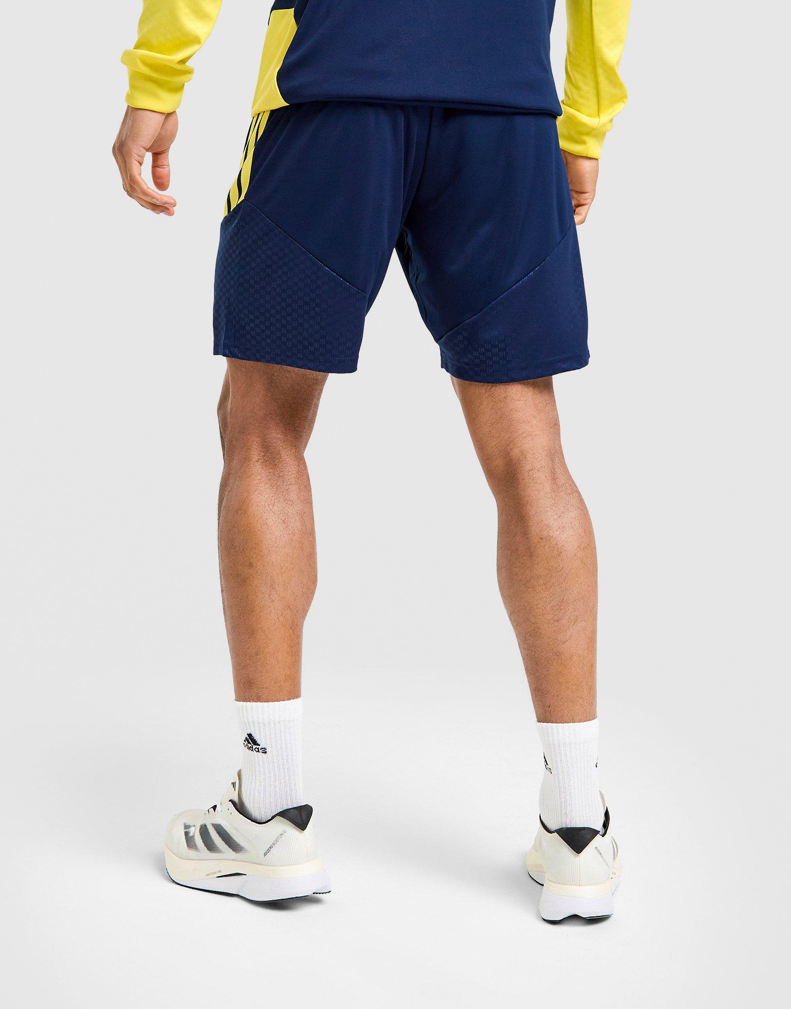 adidas Scotland Tiro 26 Training Shorts