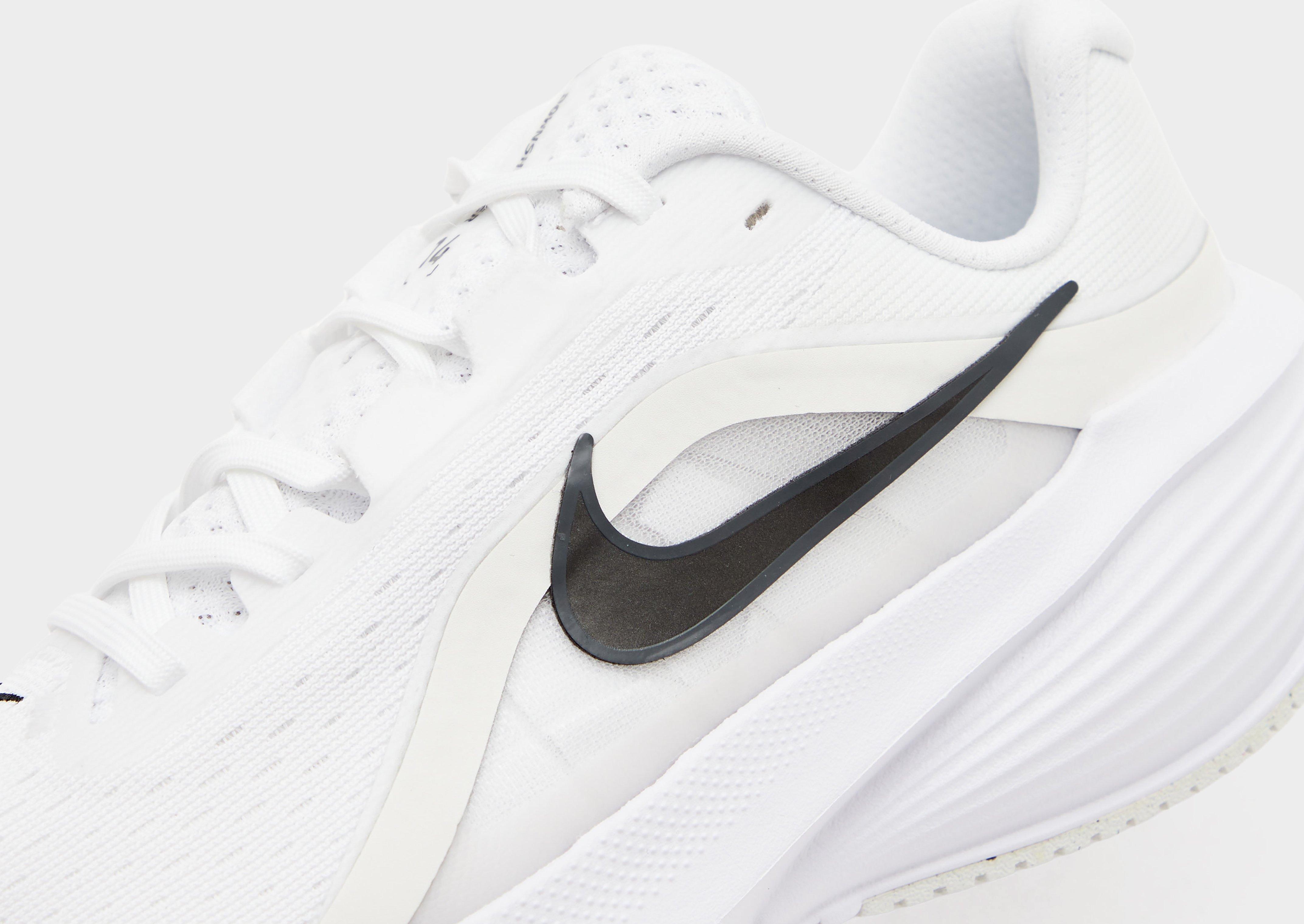 Nike Downshifter 14 Women's