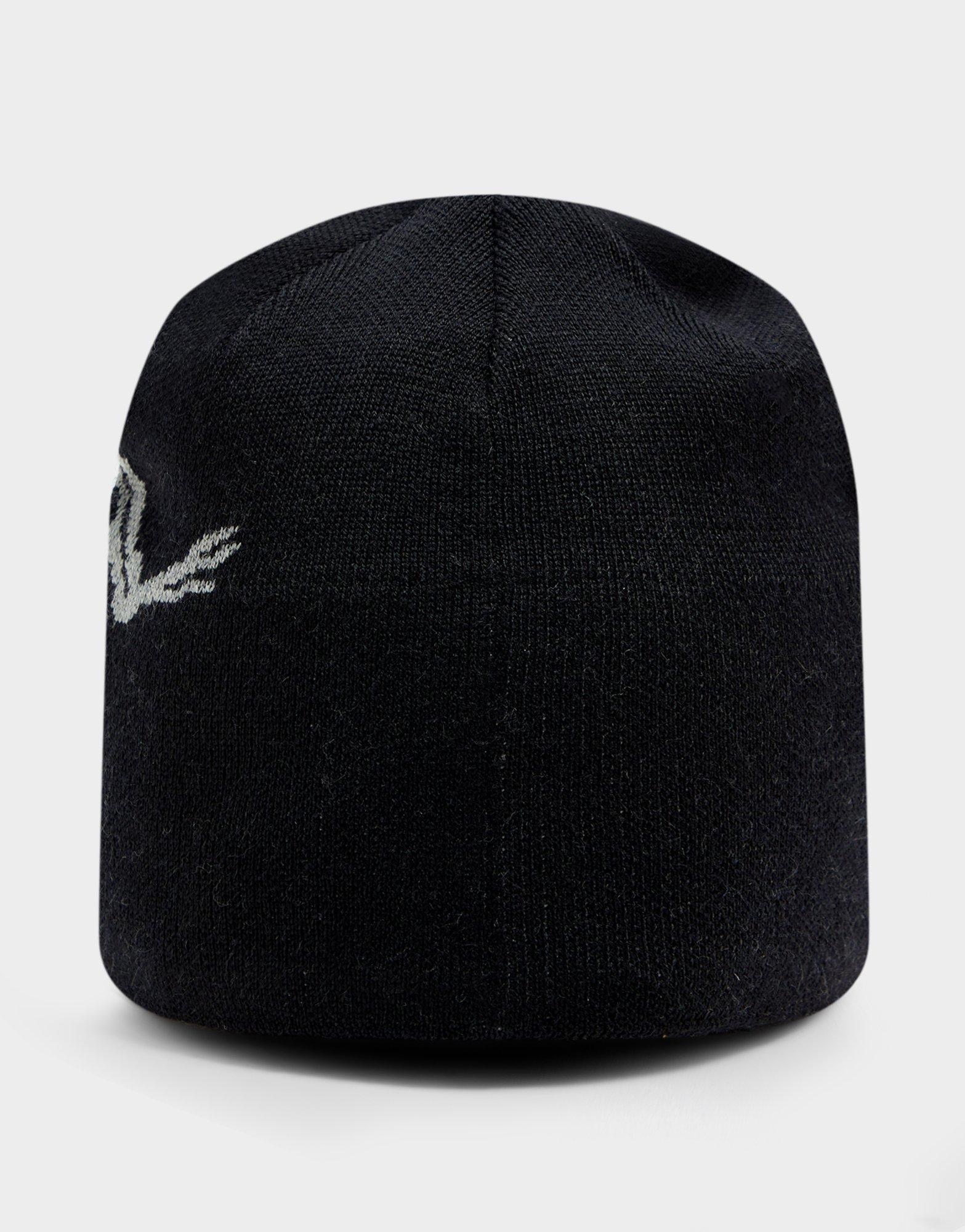 Arc'teryx Bird Head Toque