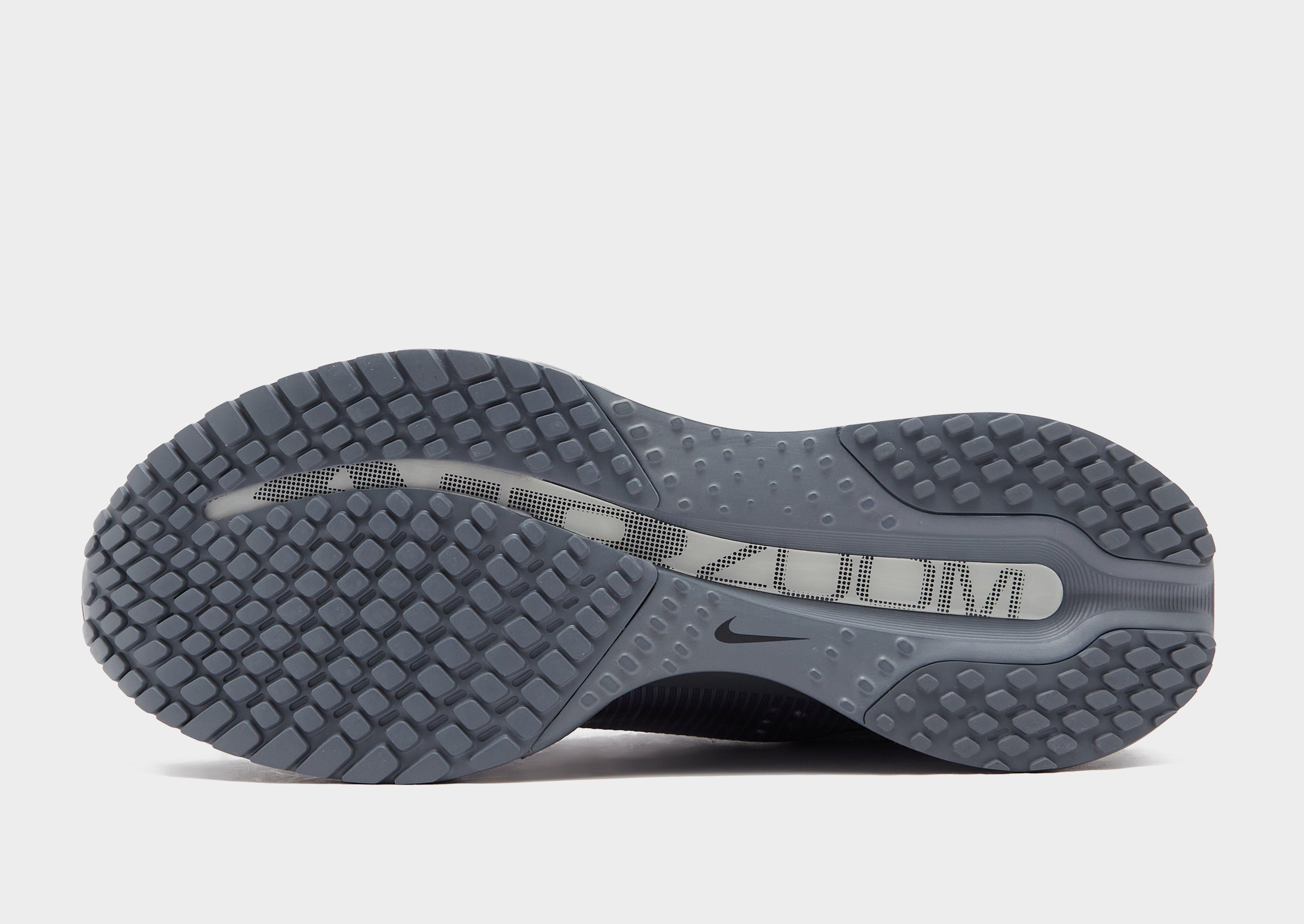 Nike Pegasus Premium