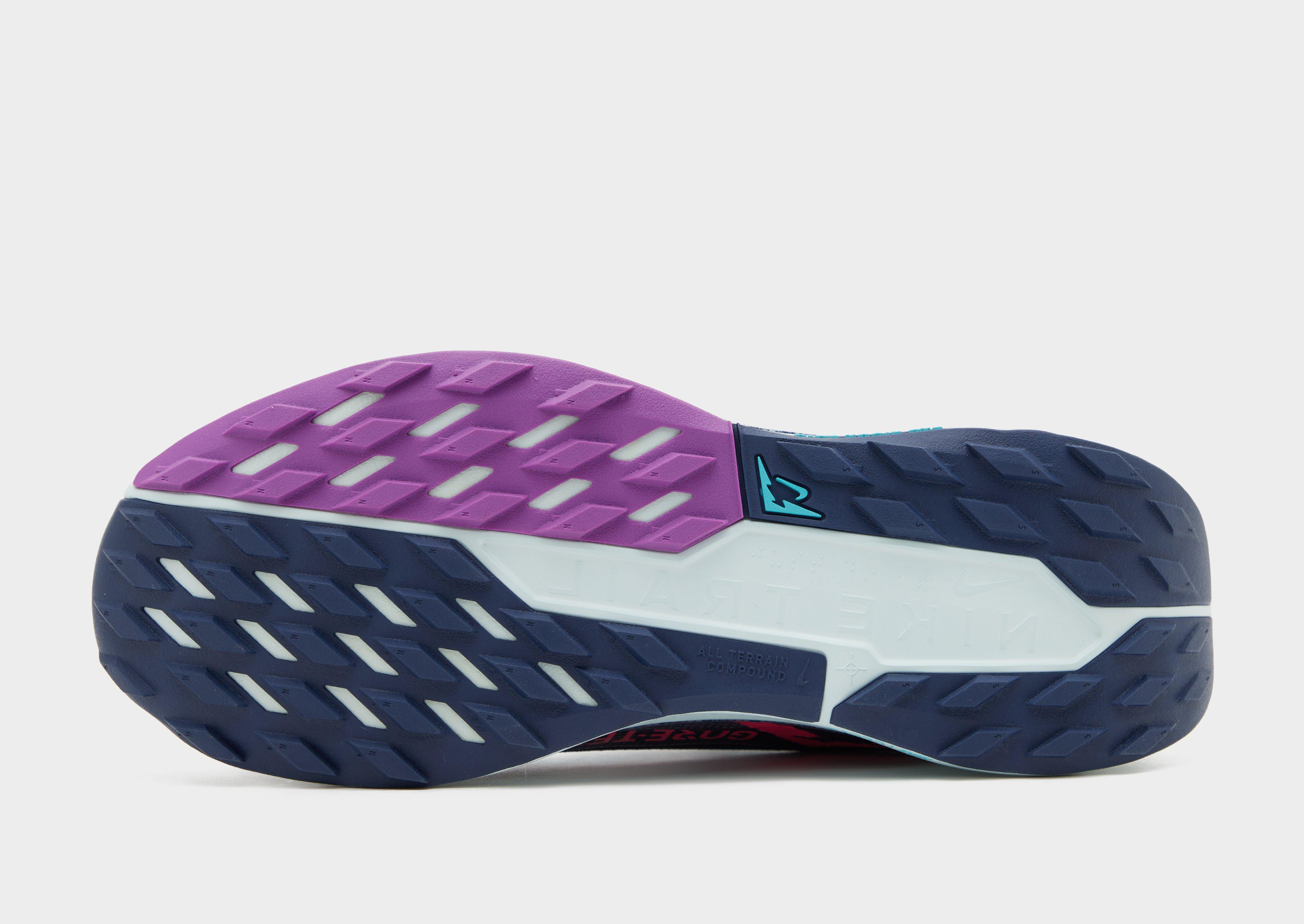 Nike Pegasus Trail 5 GORE-TEX