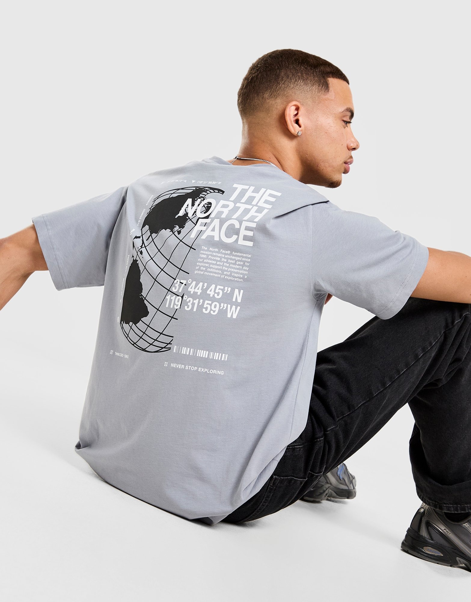 Grey The North Face Globe Relaxed T-Shirt - JD Sports Global