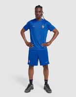 Nike France 2026 Strike -shortsit Miehet