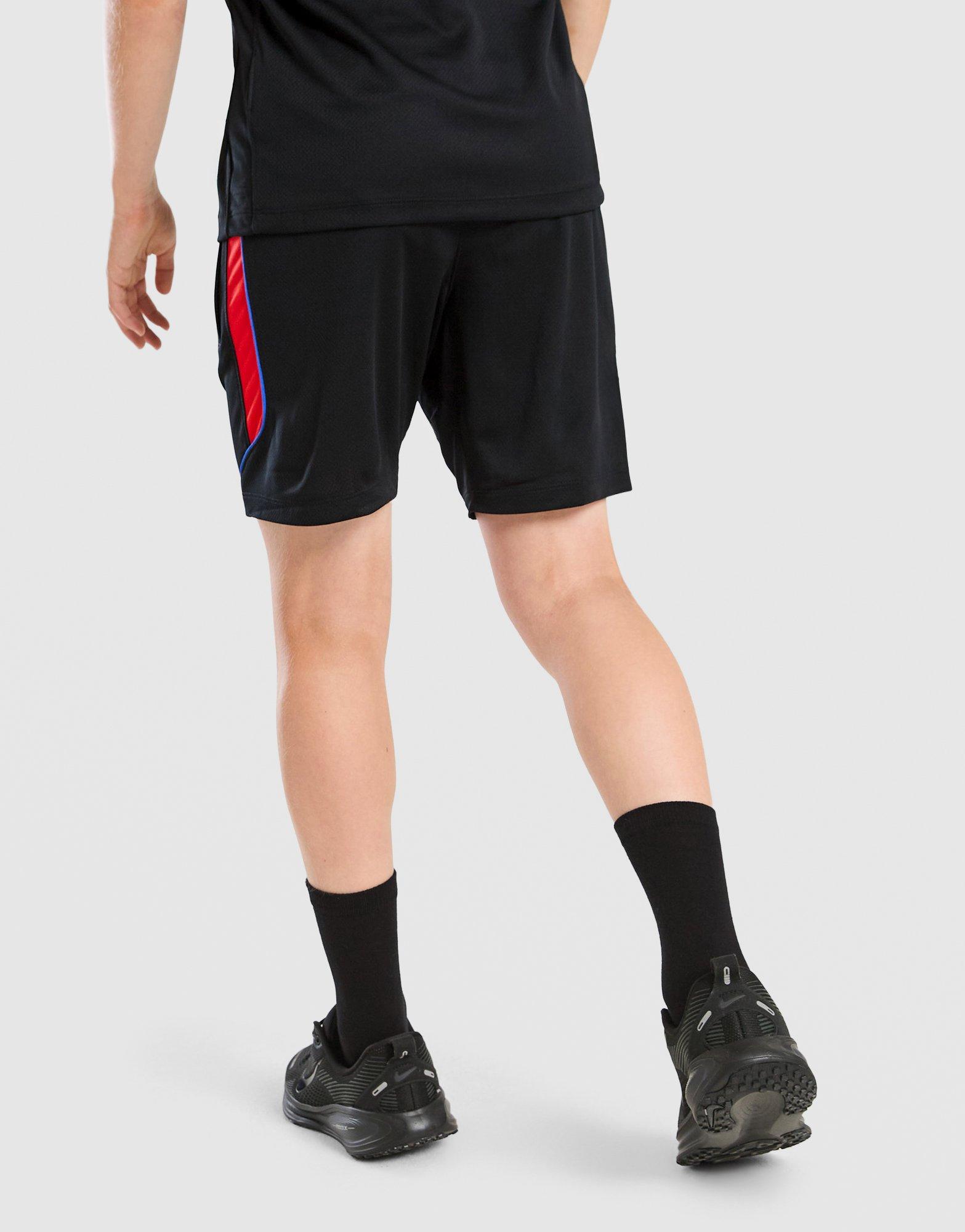 Nike Paris Saint Germain Strike Shorts Junior