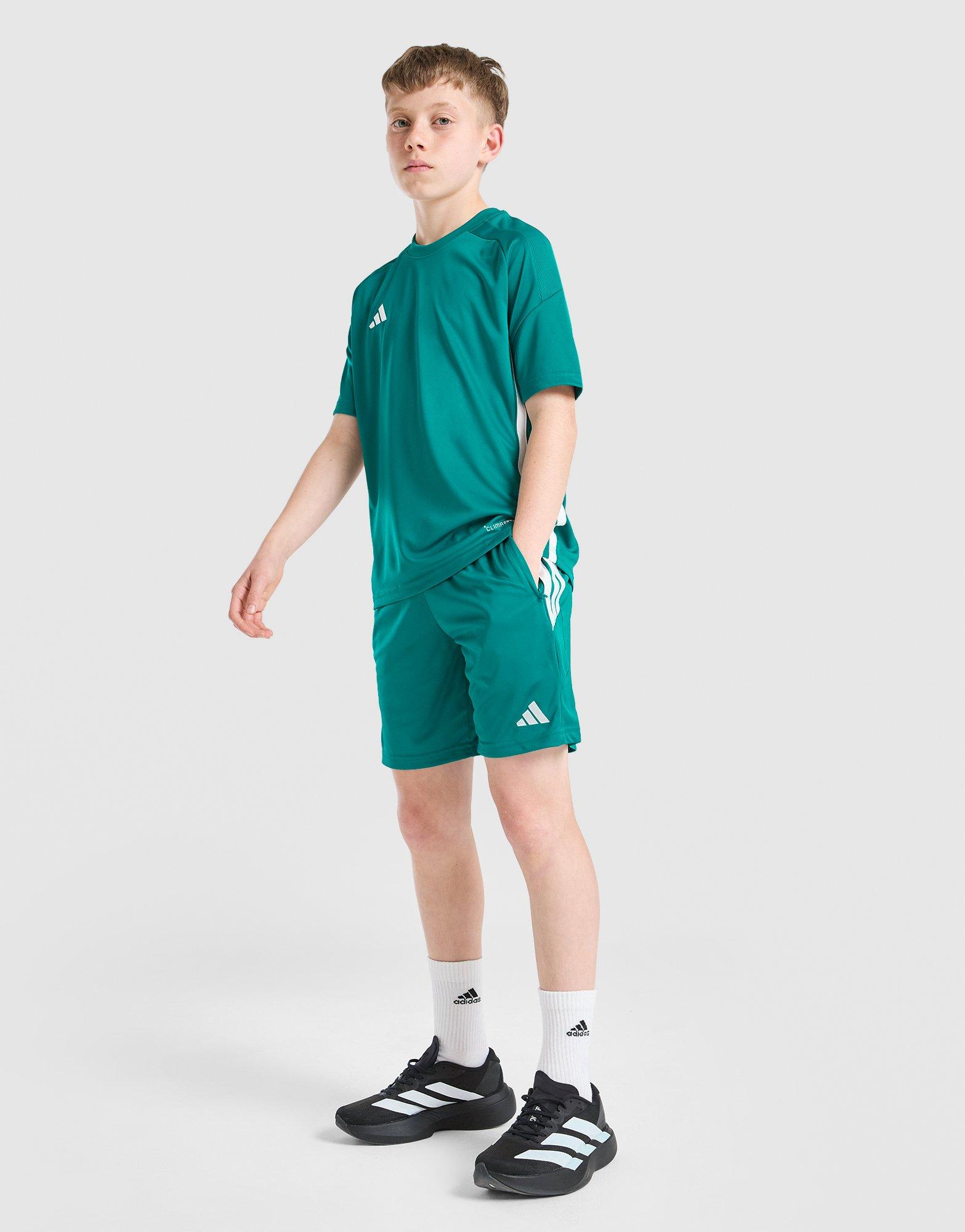 adidas Tiro 26 Shorts Junior