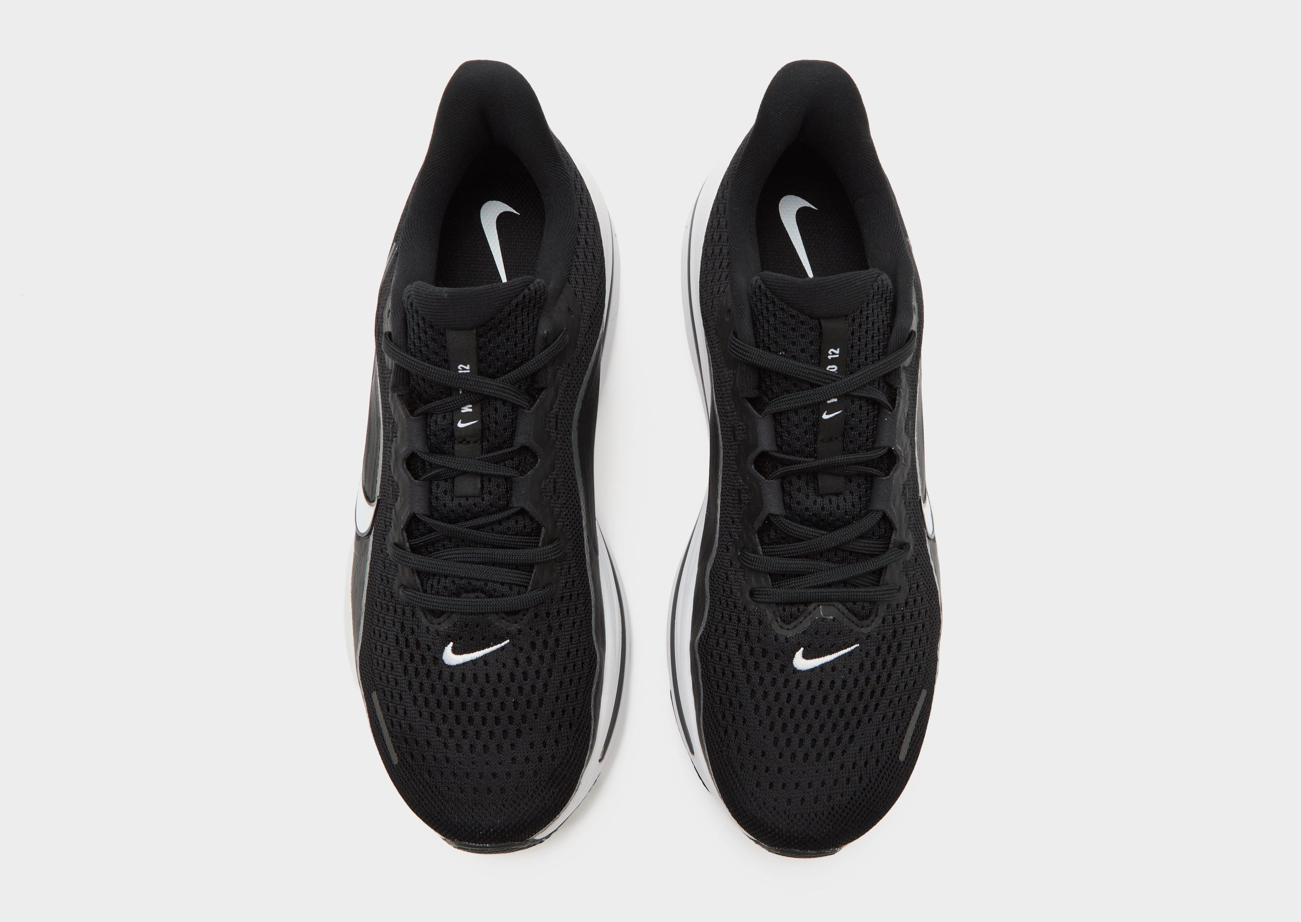 Nike Winflo 12