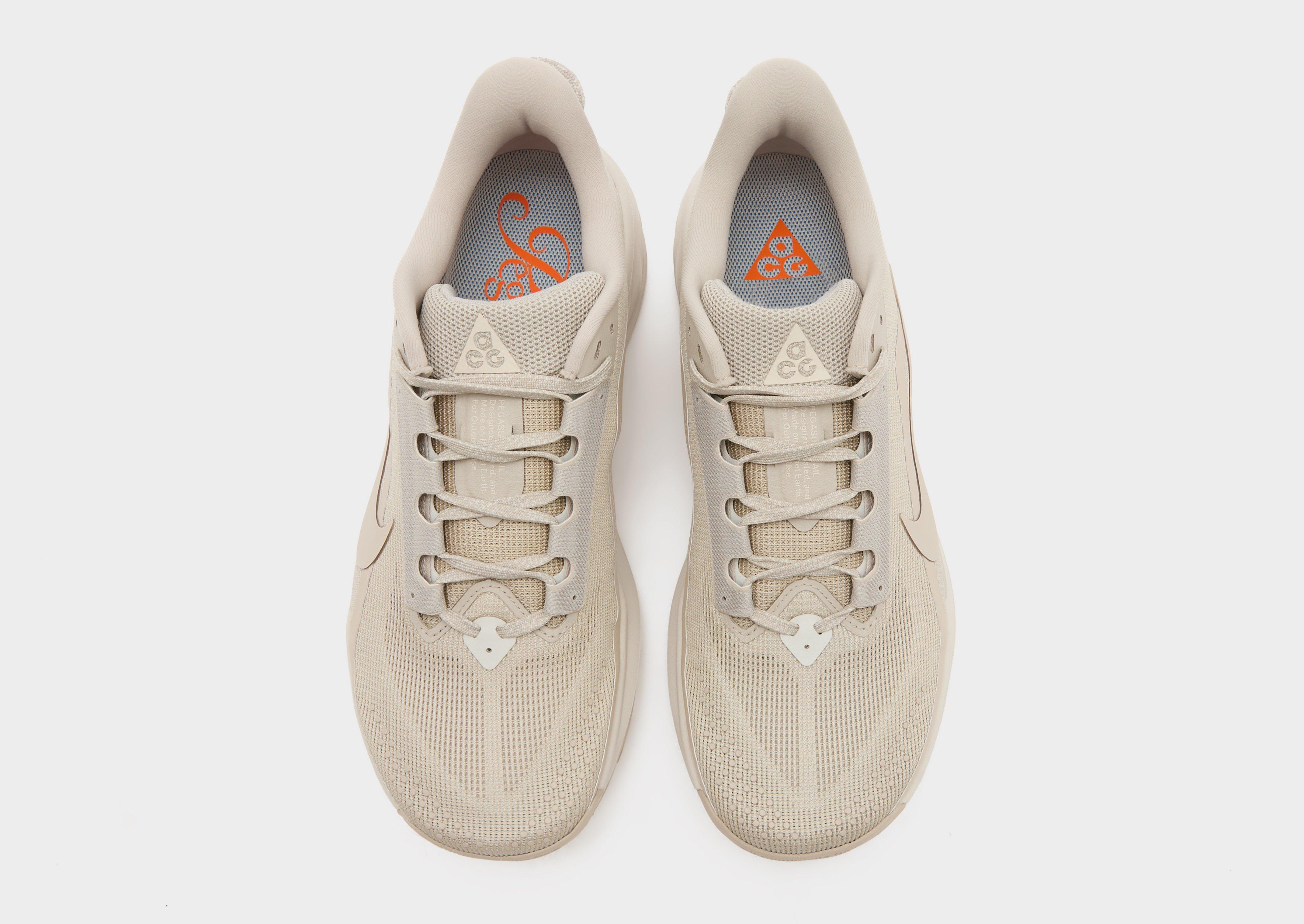 Nike Pegasus Trail 3