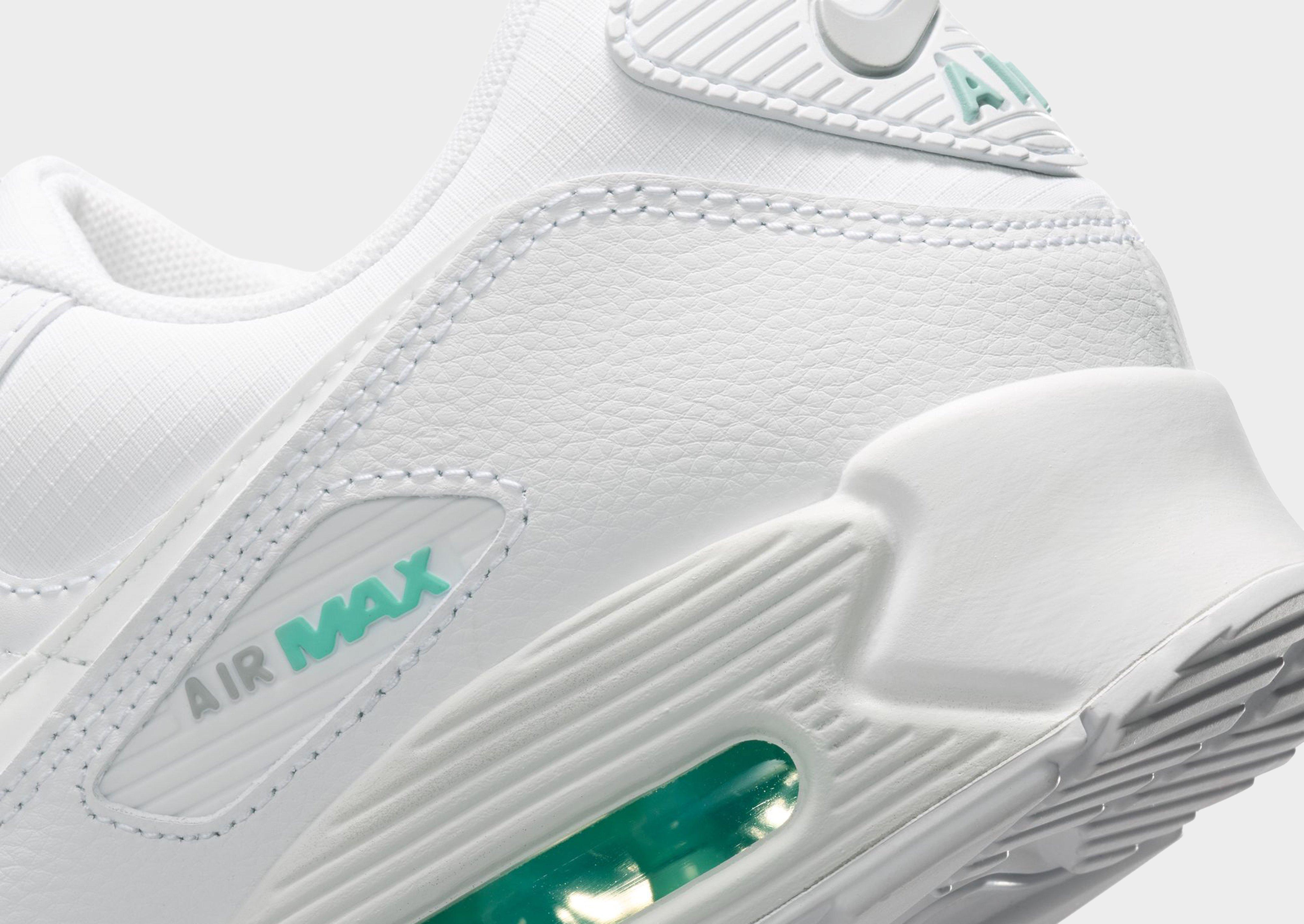 Nike Air Max 90 Women's