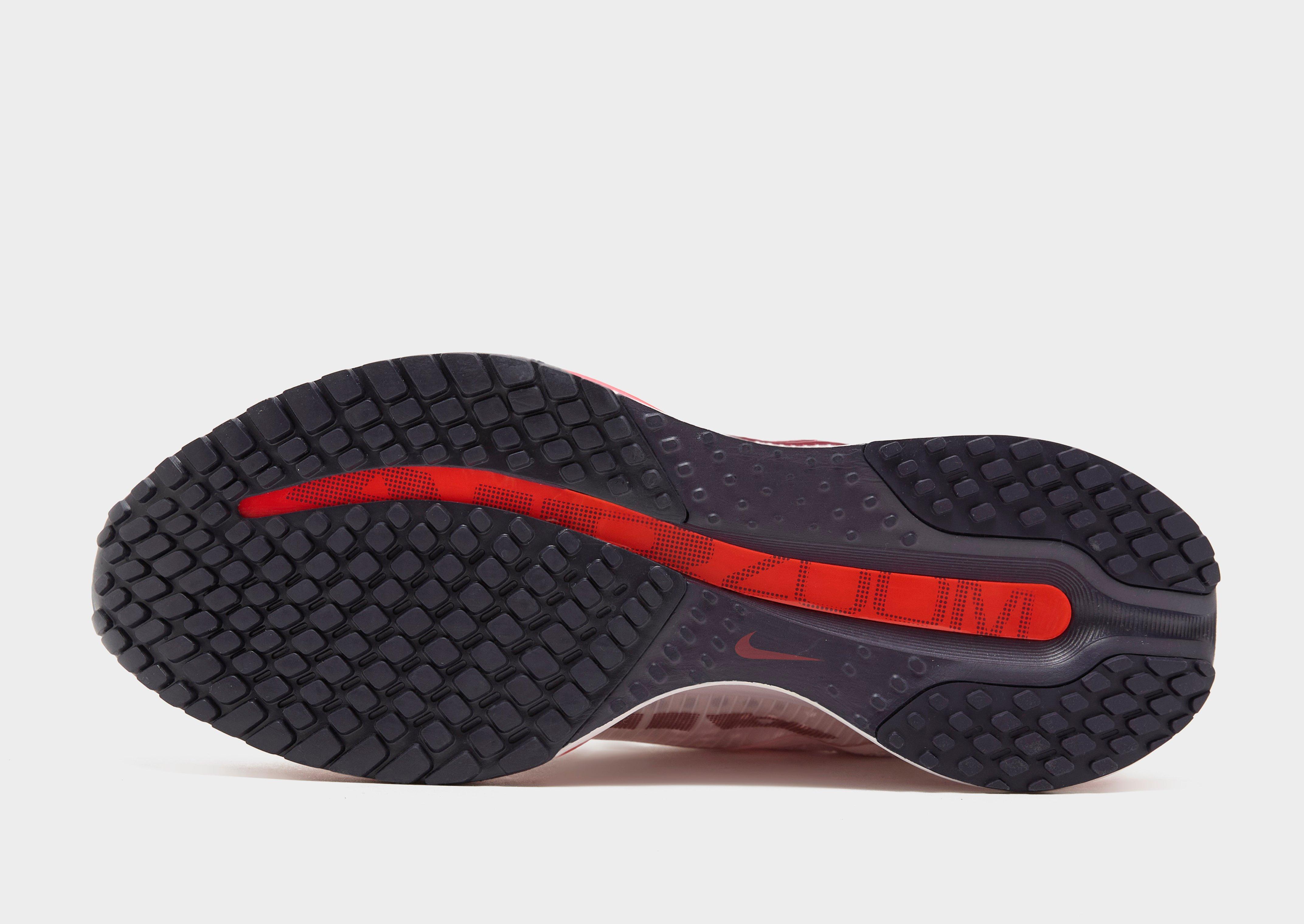 Nike Pegasus Premium Women's